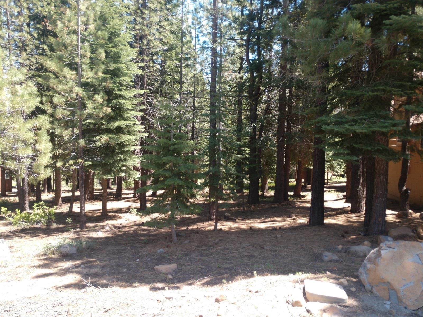 17249 Northwoods Boulevard, Truckee, CA, 96161