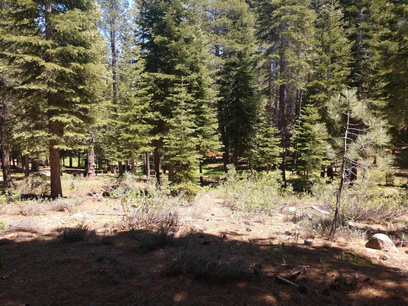 17249 Northwoods Boulevard, Truckee, CA, 96161
