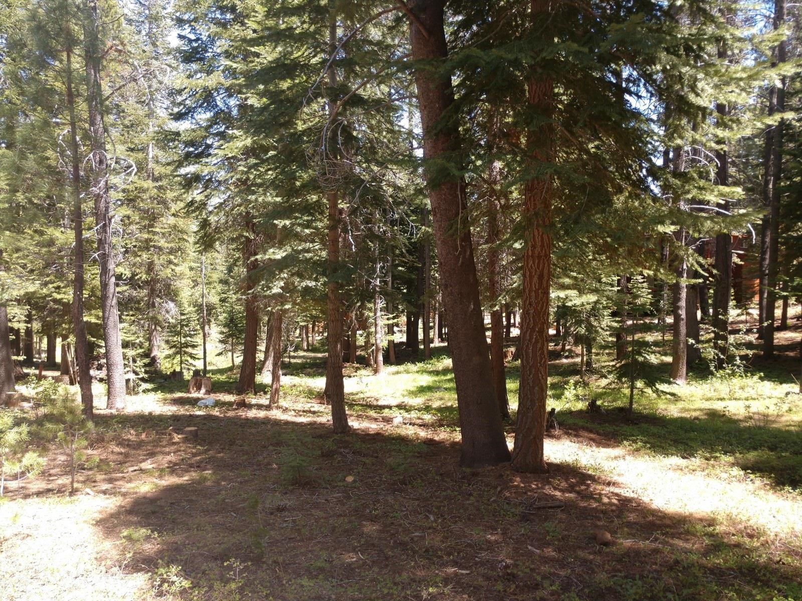 17249 Northwoods Boulevard, Truckee, CA, 96161