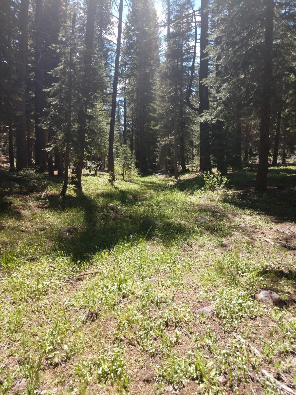 17249 Northwoods Boulevard, Truckee, CA, 96161