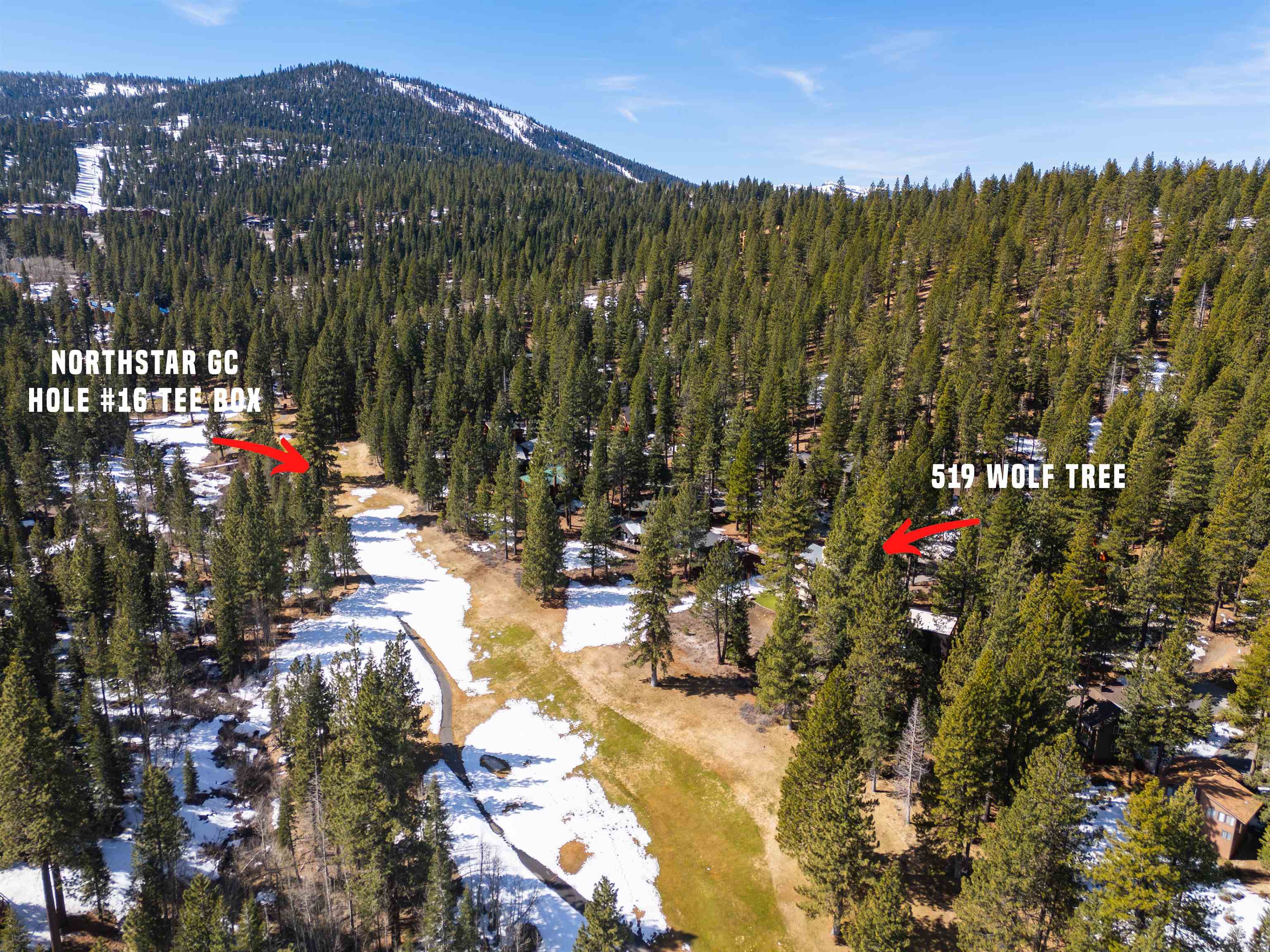 519 Wolf Tree, Truckee, CA, 96161-0000
