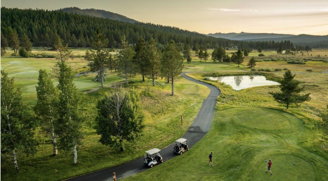 519 Wolf Tree, Truckee, CA, 96161-0000