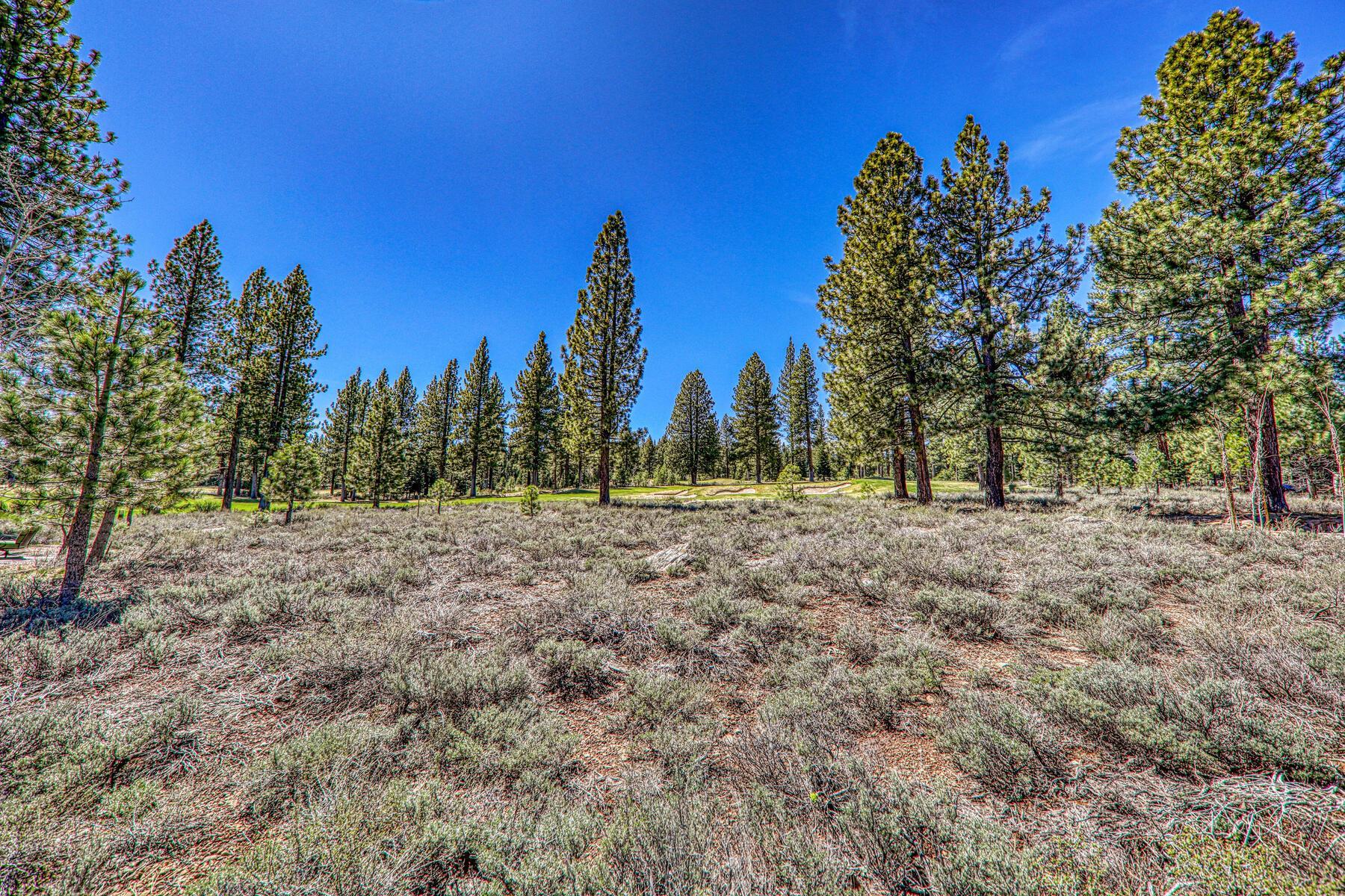 9364 Heartwood Drive, Truckee, CA, 96161