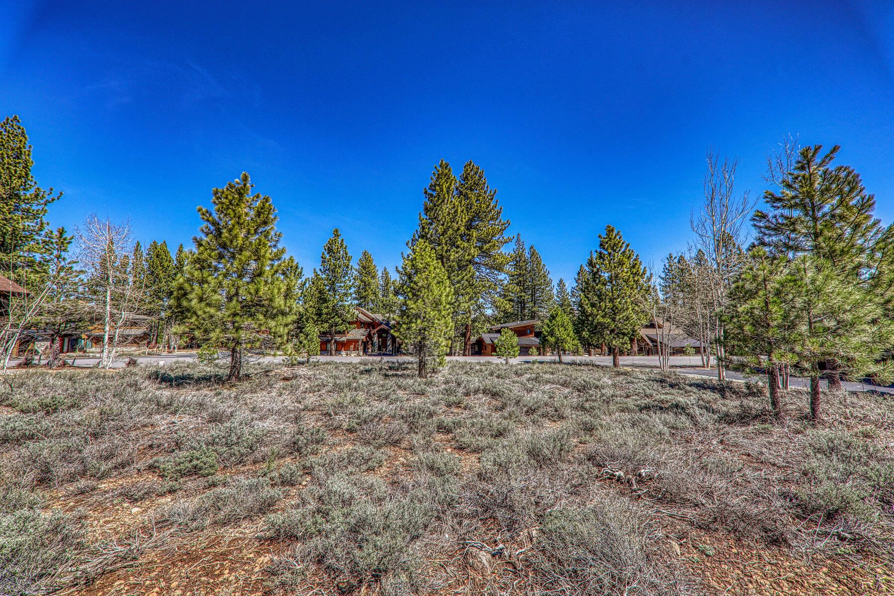 9364 Heartwood Drive, Truckee, CA, 96161