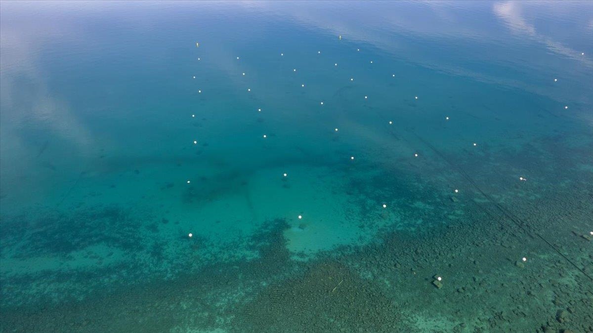 7132 8th Avenue, Tahoma, CA, 96142