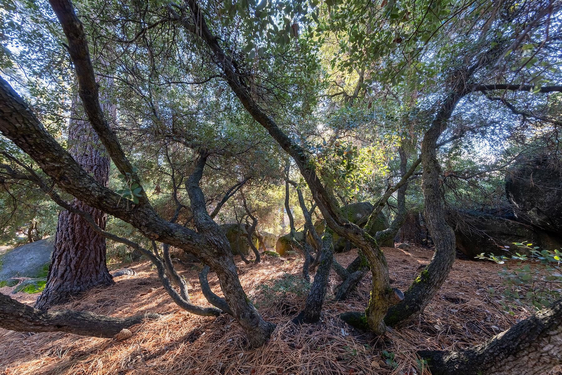 . Harbor Avenue, Kings Beach, CA, 96143