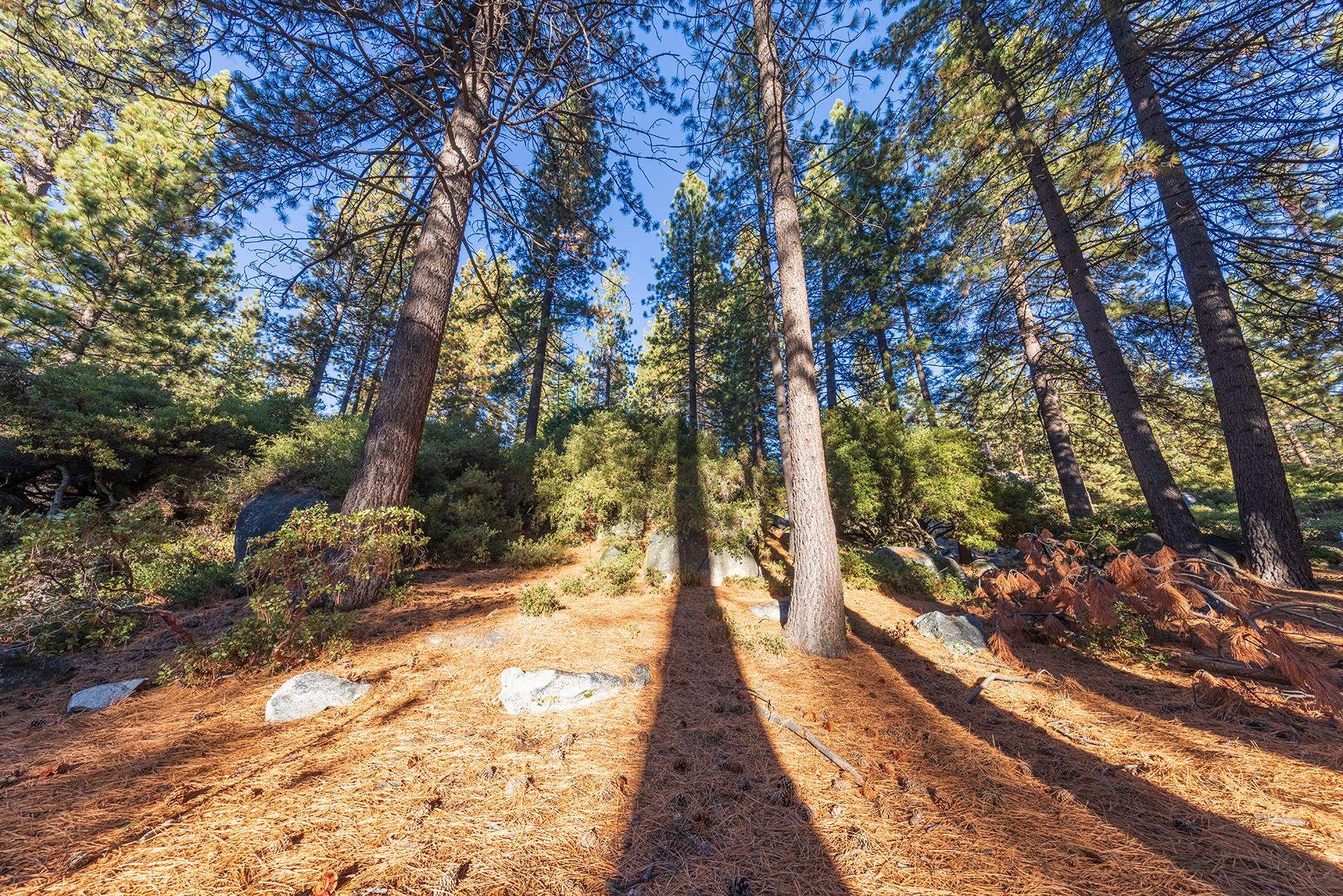 . Harbor Avenue, Kings Beach, CA, 96143