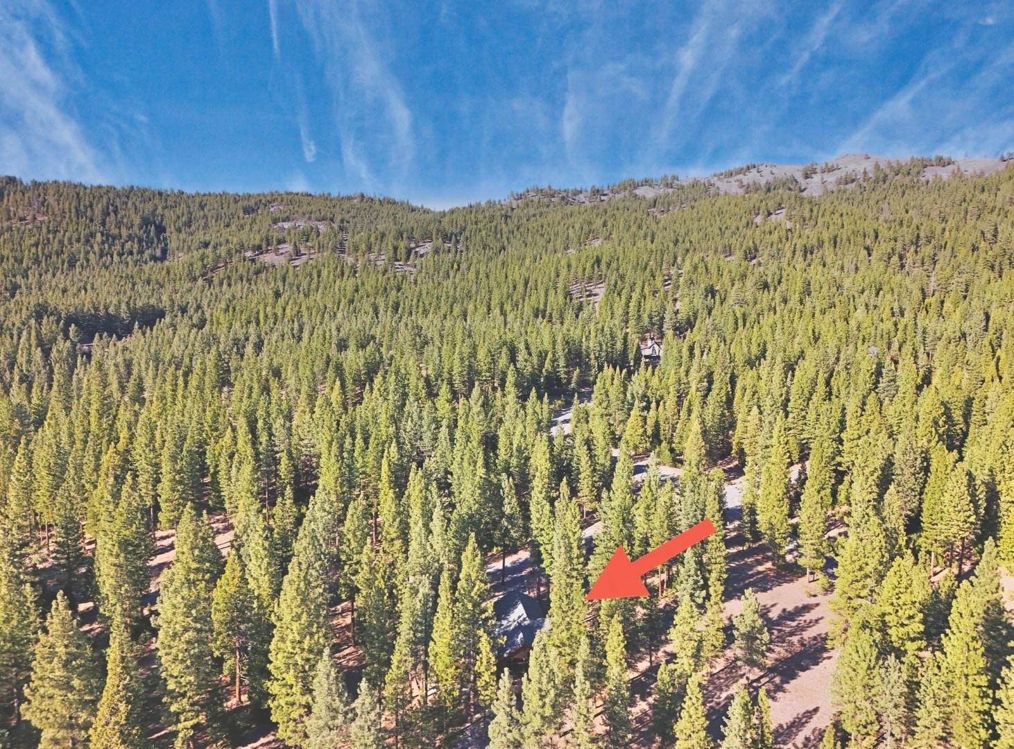 462 Arrowleaf Road, Portola, CA, 96122