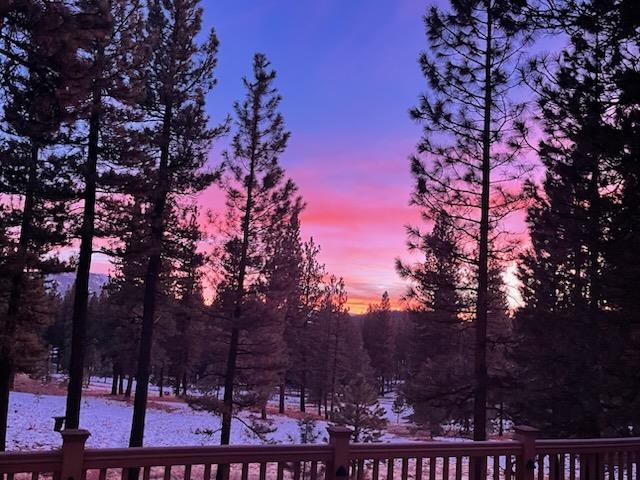 462 Arrowleaf Road, Portola, CA, 96122