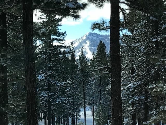 462 Arrowleaf Road, Portola, CA, 96122