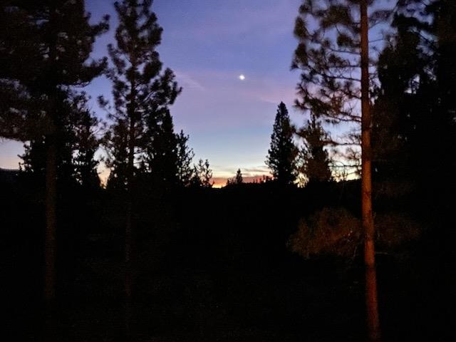 462 Arrowleaf Road, Portola, CA, 96122