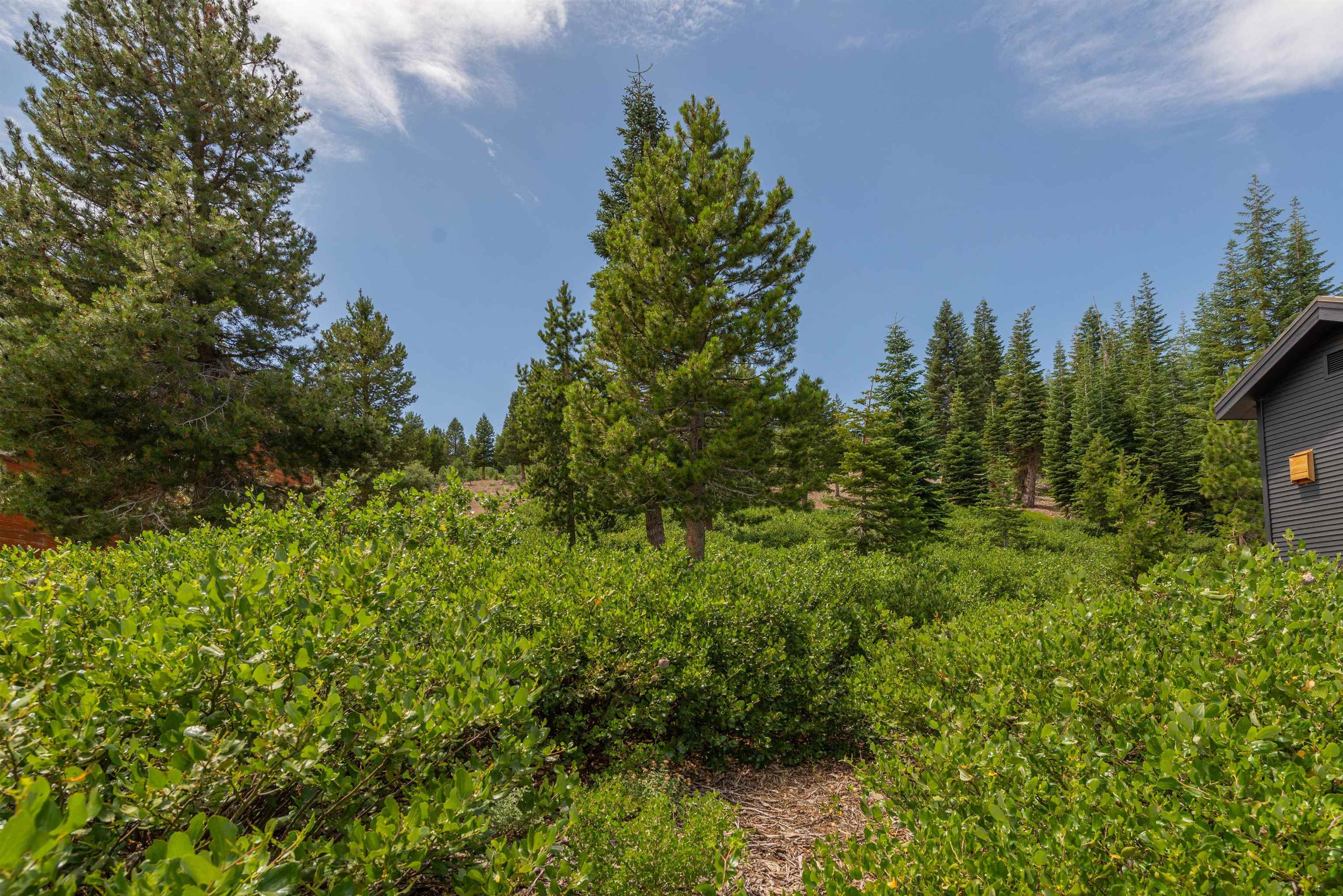 15644 Skislope Way, Truckee, CA, 96161