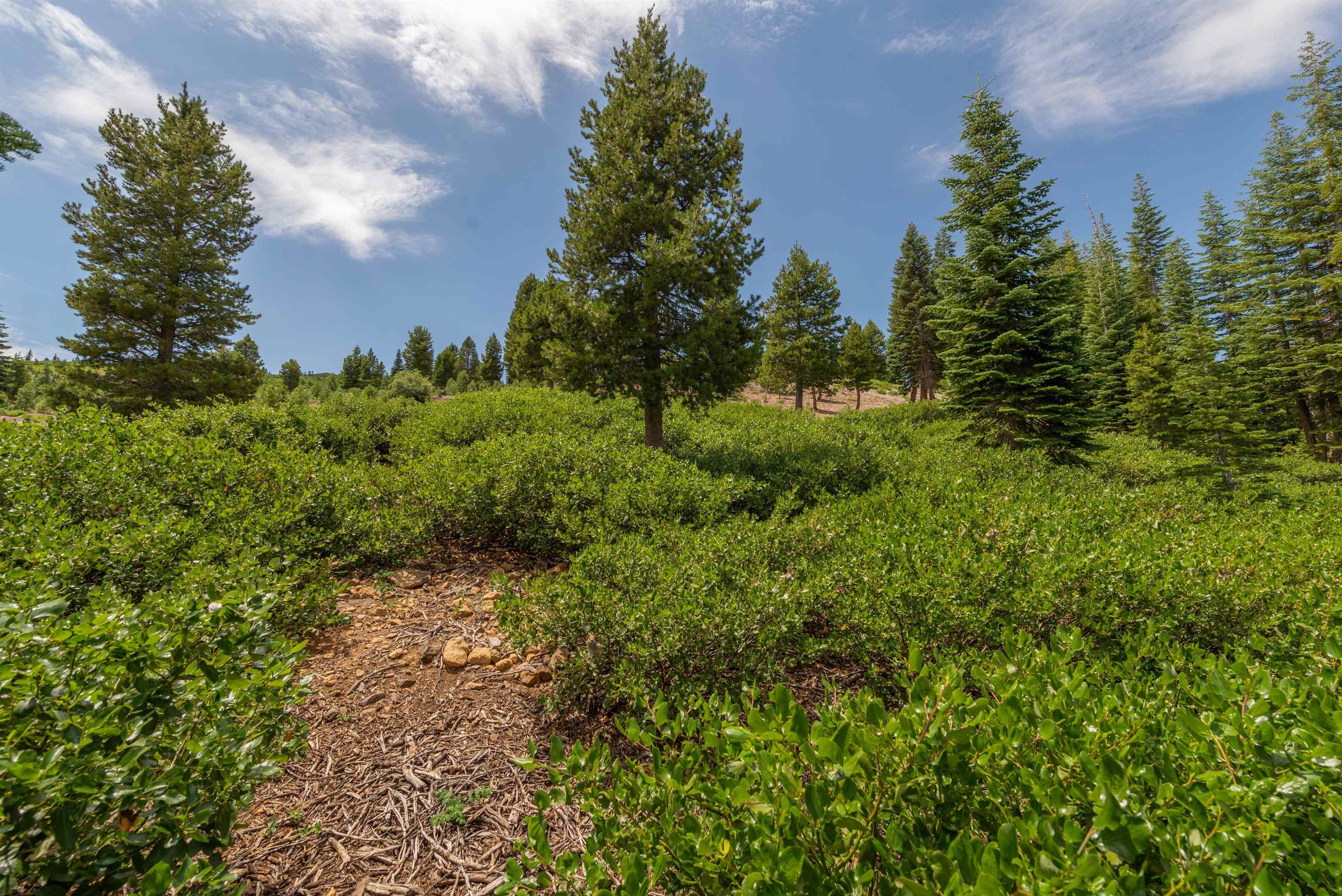 15644 Skislope Way, Truckee, CA, 96161