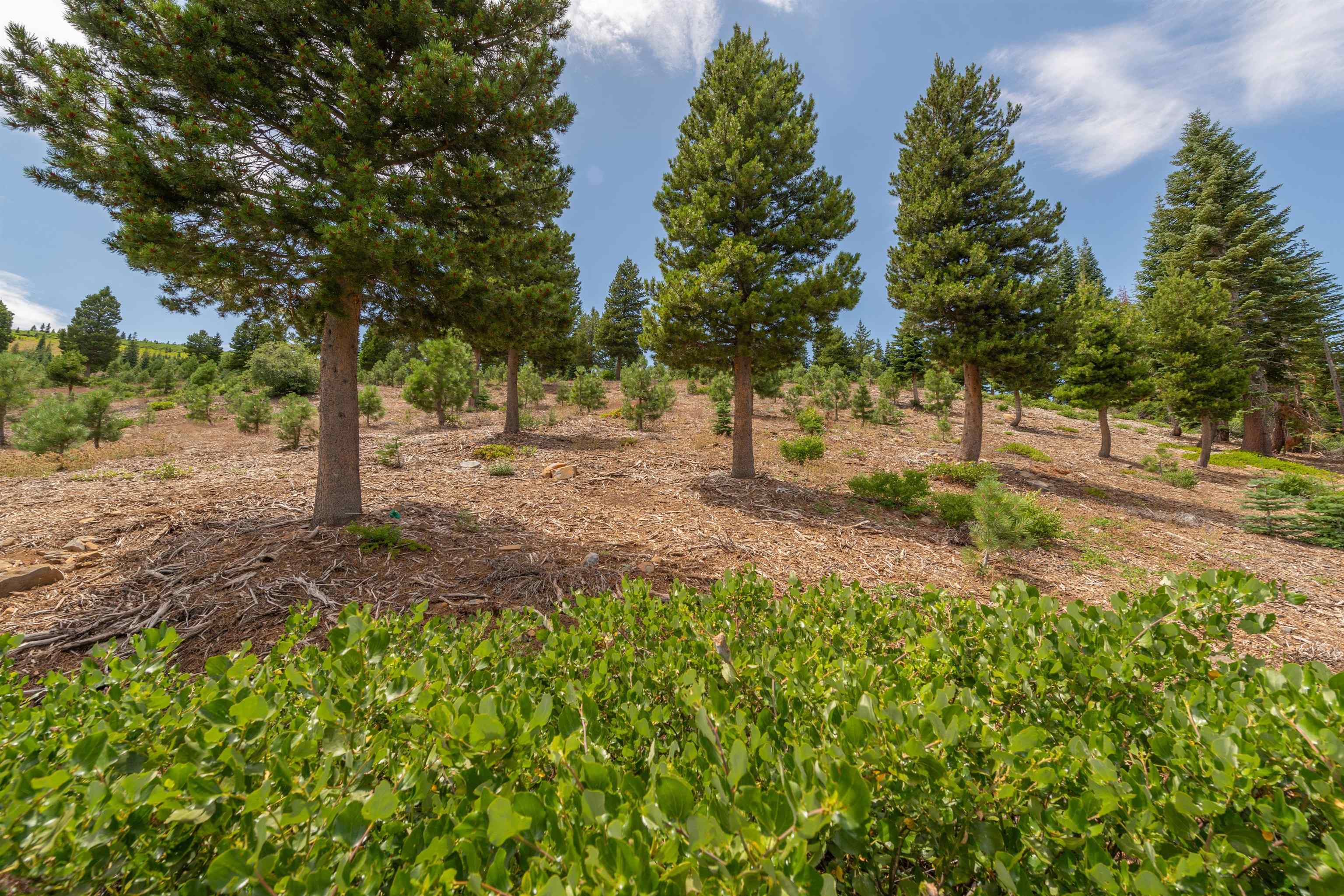 15644 Skislope Way, Truckee, CA, 96161