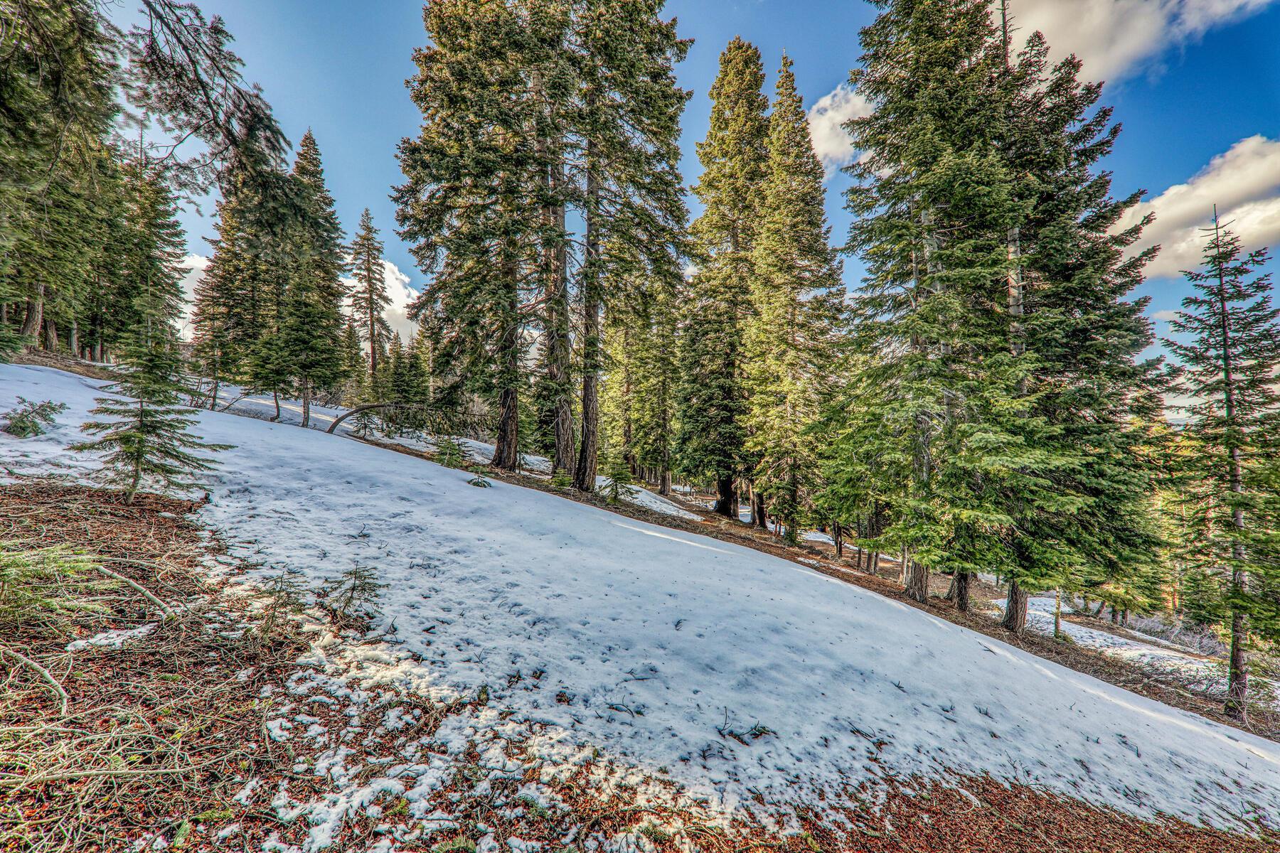 11910 Rhineland Avenue, Truckee, CA, 96161-0000