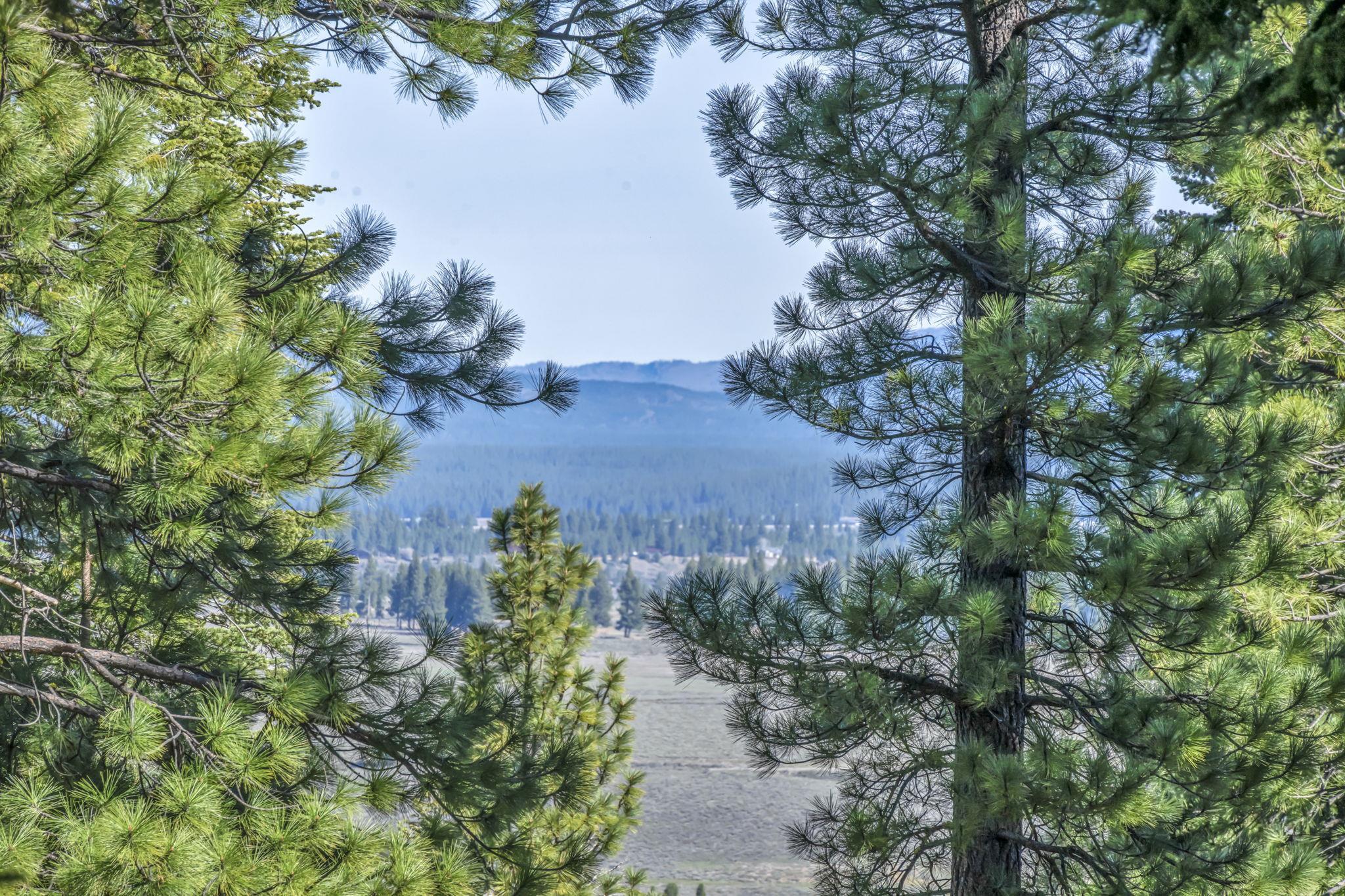 1063 Martis Landing, Truckee, CA, 96161