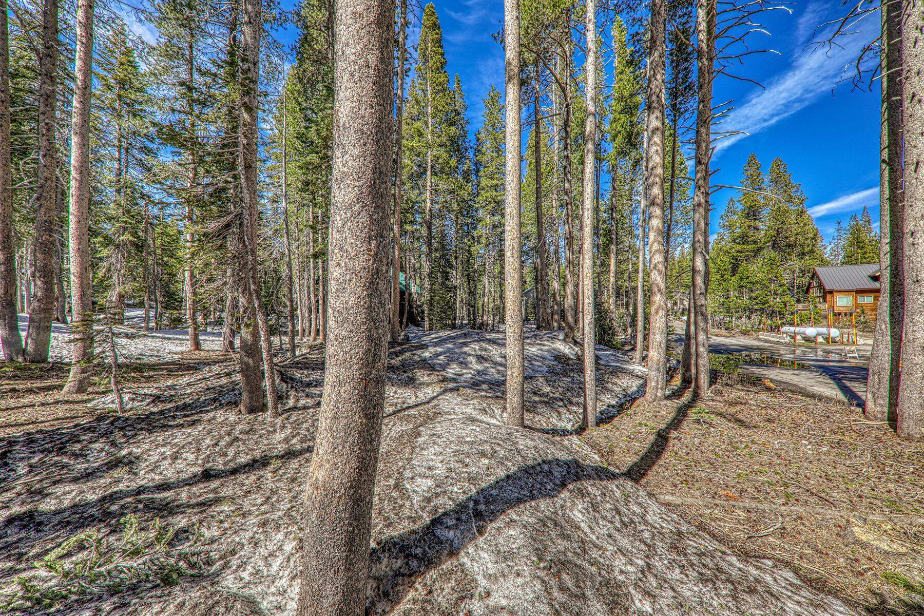 6194 Serene Road, Soda Springs, CA, 95724
