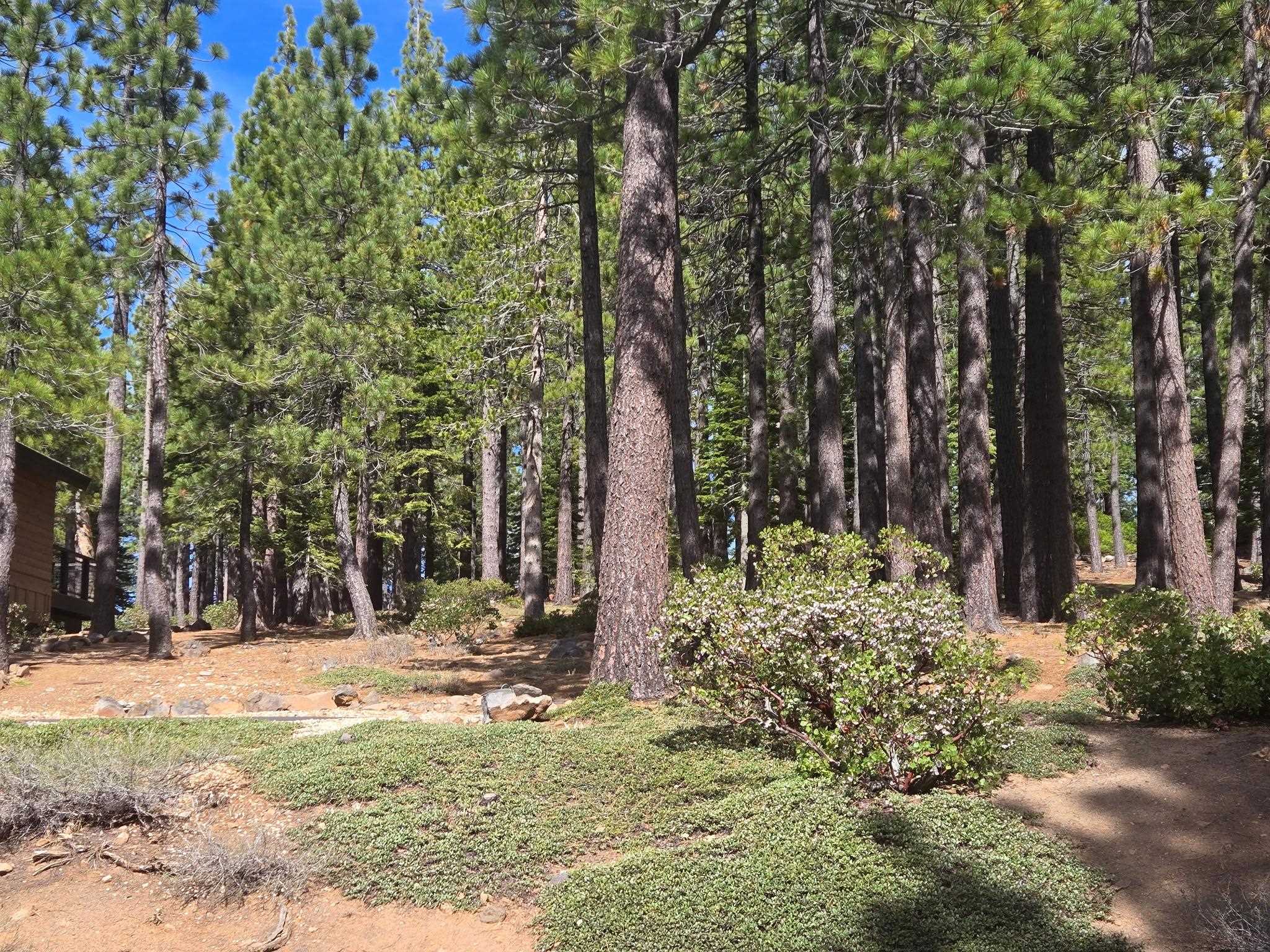 13080 Roundhill Drive, Truckee, CA, 96161
