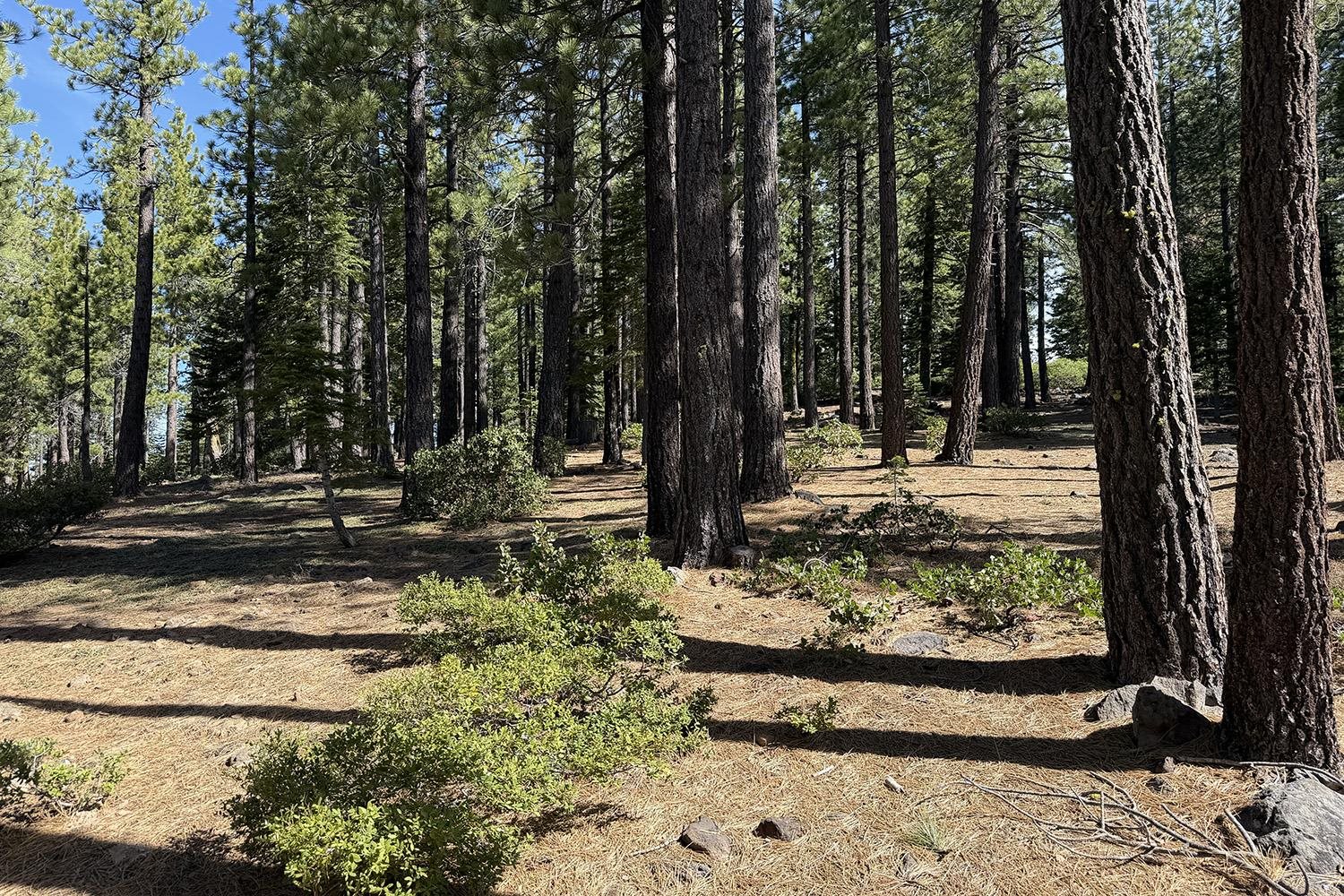 13080 Roundhill Drive, Truckee, CA, 96161