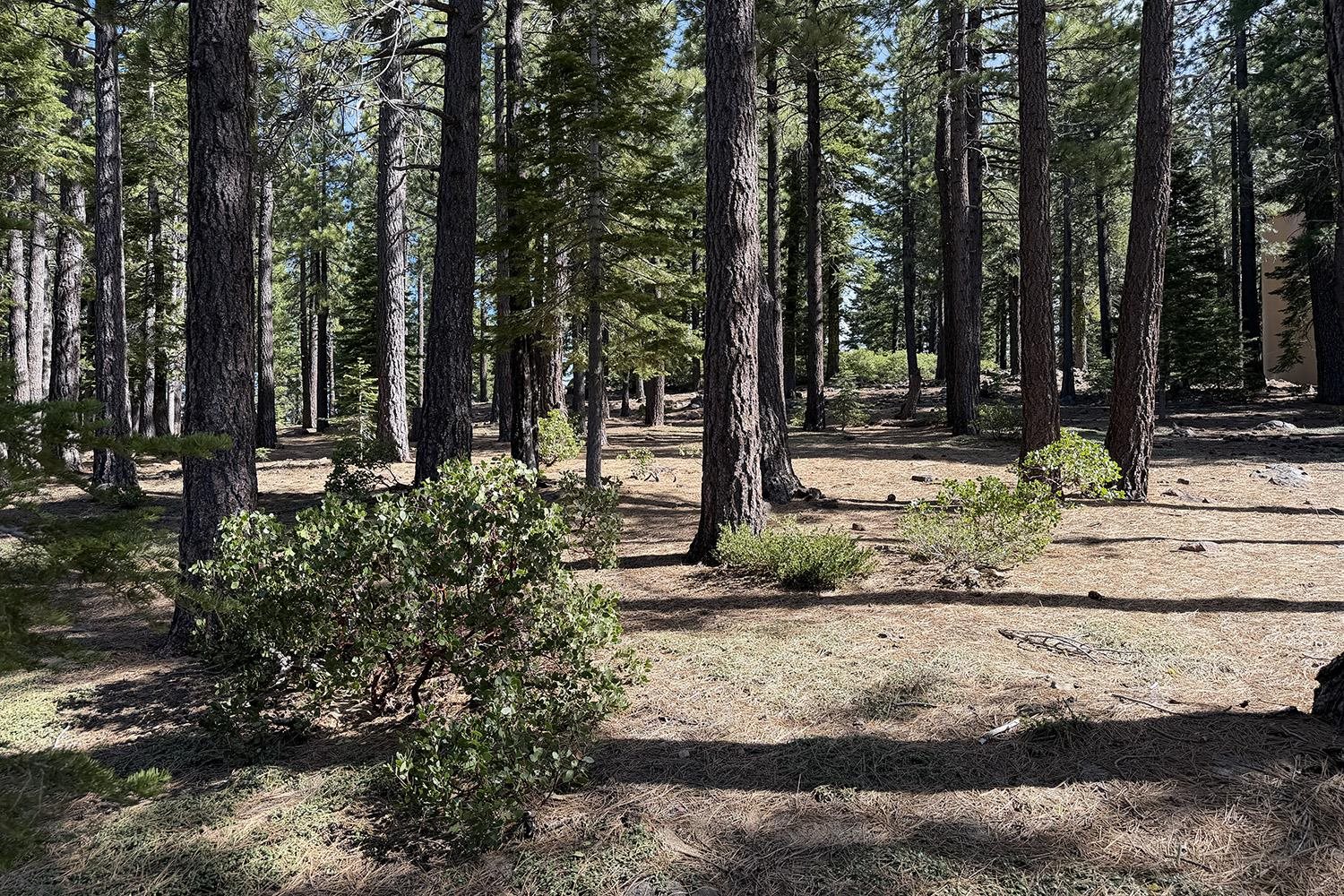 13080 Roundhill Drive, Truckee, CA, 96161