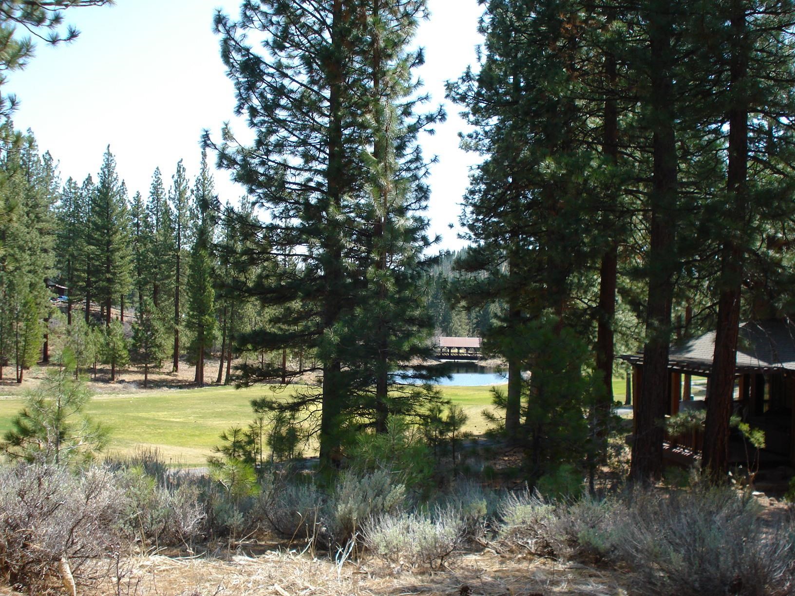 404 Blacktail Ridge, Portola, CA, 96122