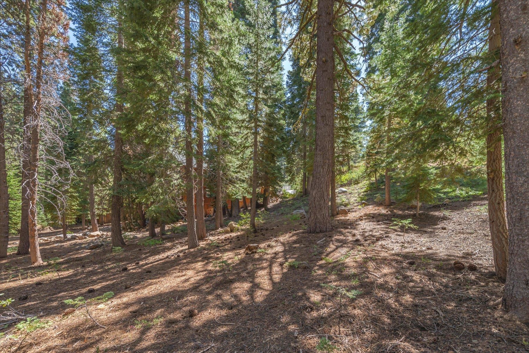 14590 Copenhagen Drive, Truckee, CA, 96161