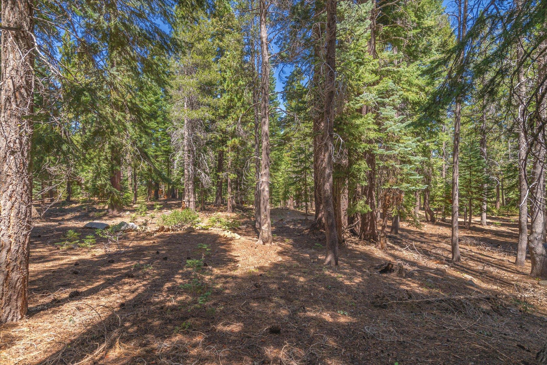 14590 Copenhagen Drive, Truckee, CA, 96161