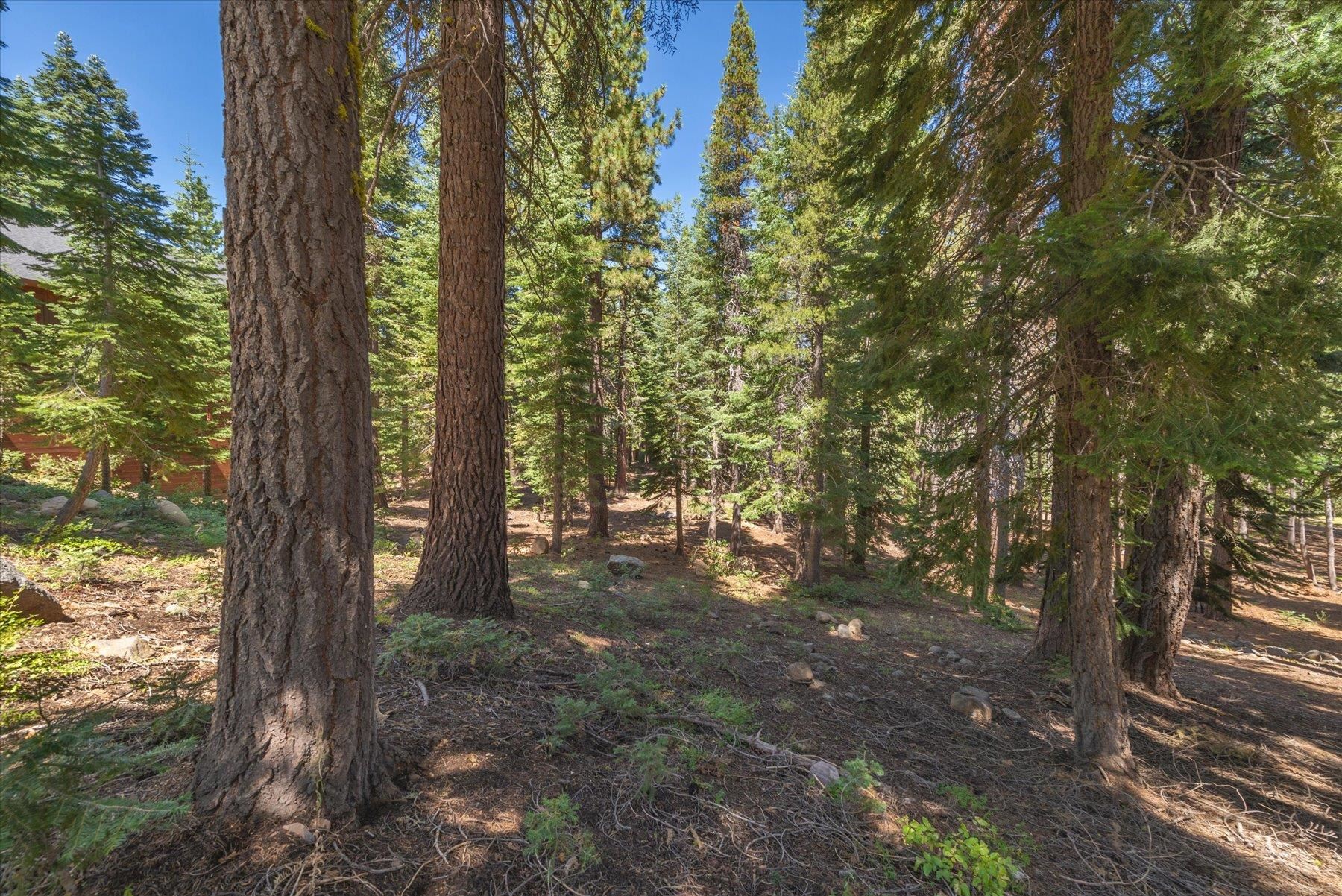 14590 Copenhagen Drive, Truckee, CA, 96161