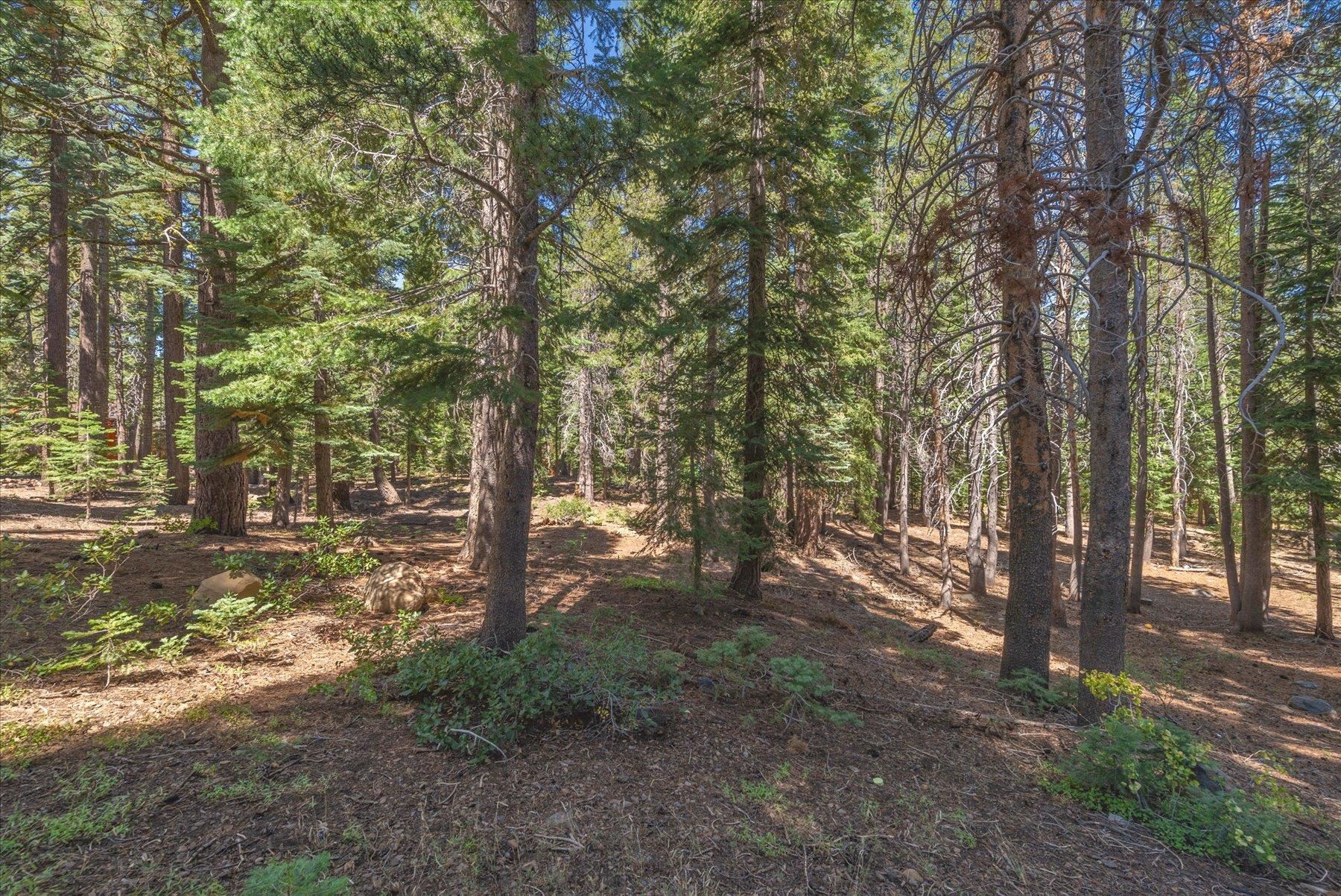 14590 Copenhagen Drive, Truckee, CA, 96161