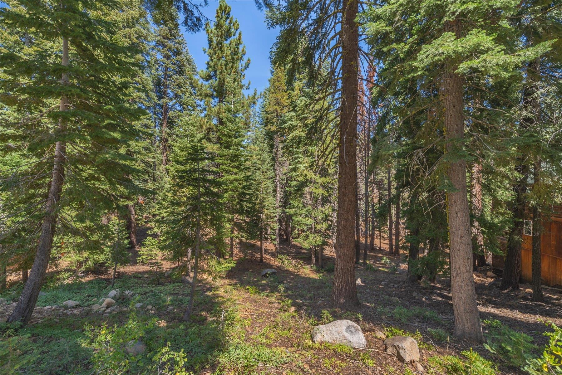 14590 Copenhagen Drive, Truckee, CA, 96161