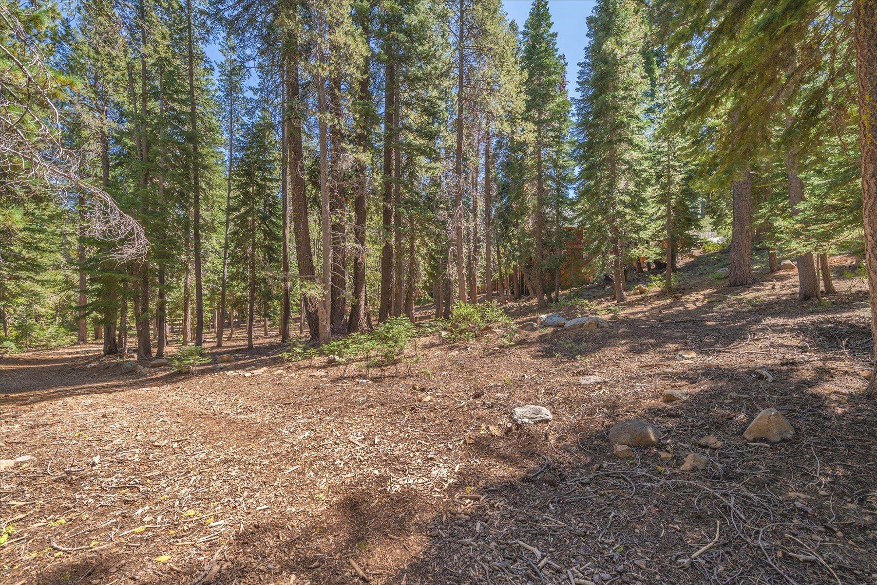 14590 Copenhagen Drive, Truckee, CA, 96161