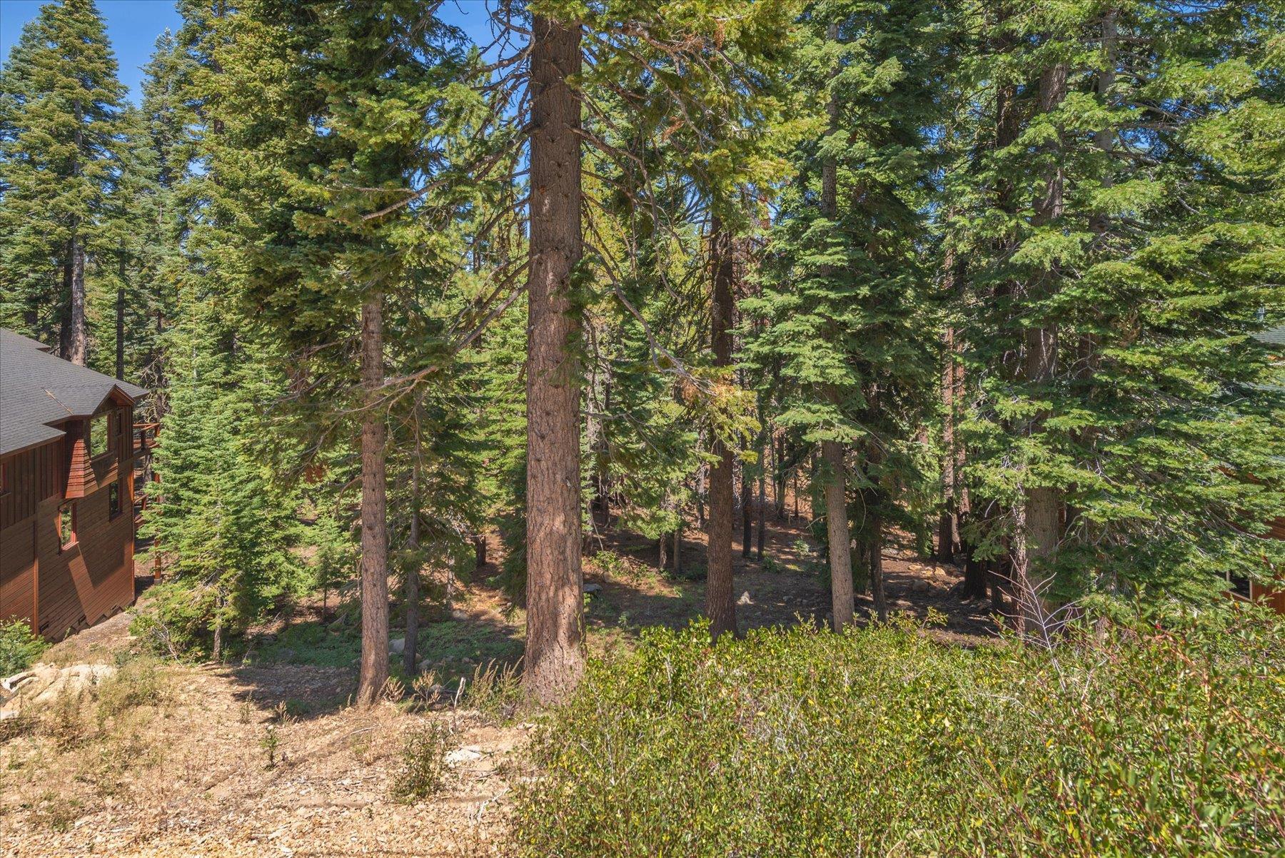 14590 Copenhagen Drive, Truckee, CA, 96161