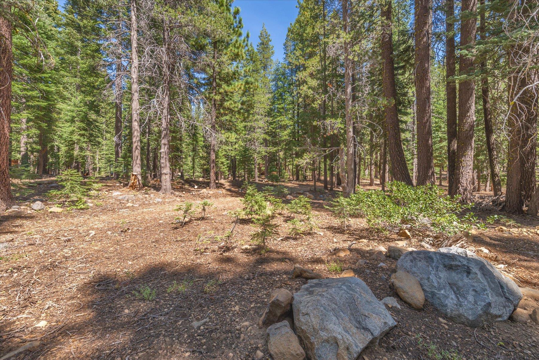 14590 Copenhagen Drive, Truckee, CA, 96161
