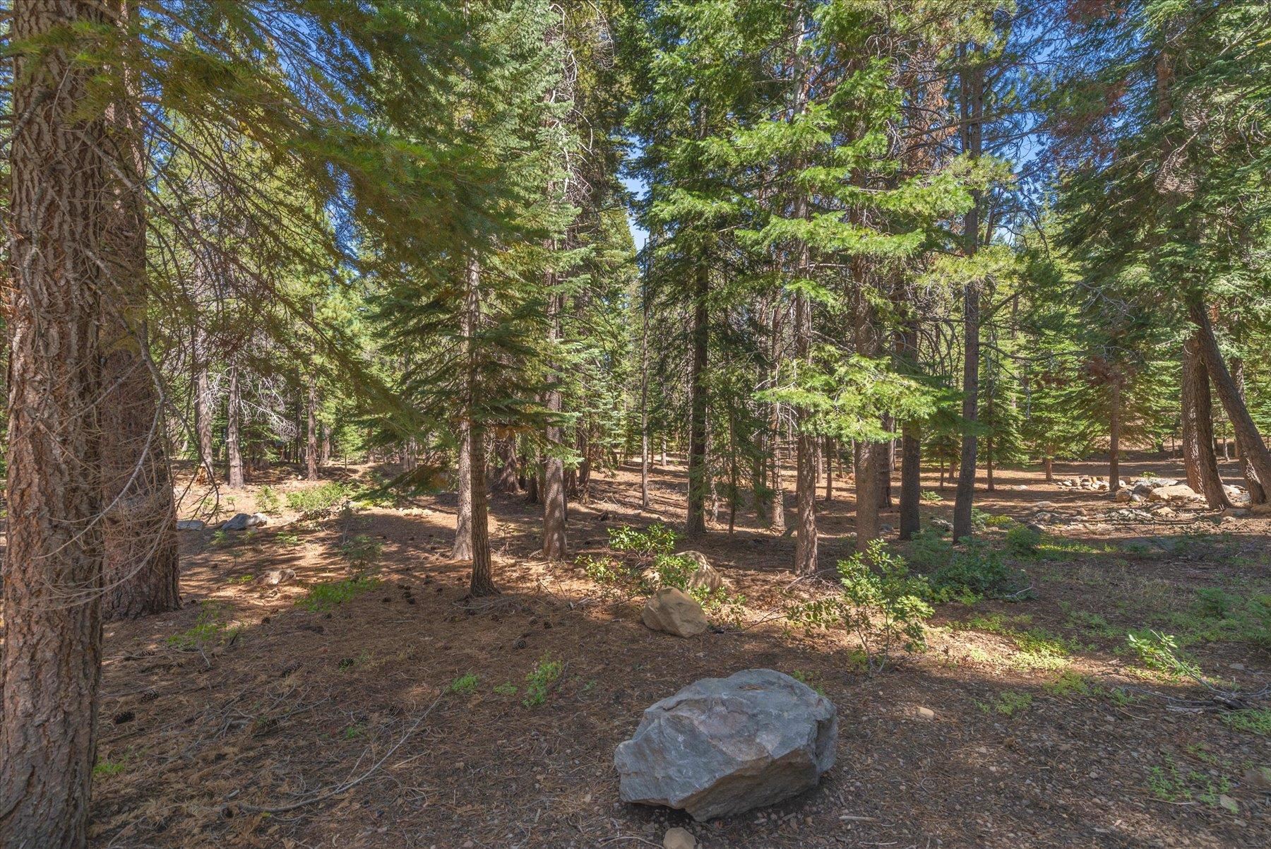14590 Copenhagen Drive, Truckee, CA, 96161