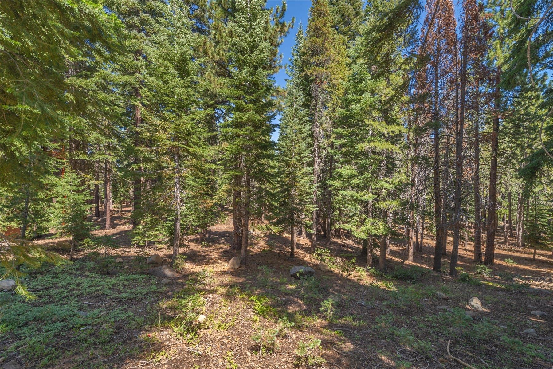 14590 Copenhagen Drive, Truckee, CA, 96161