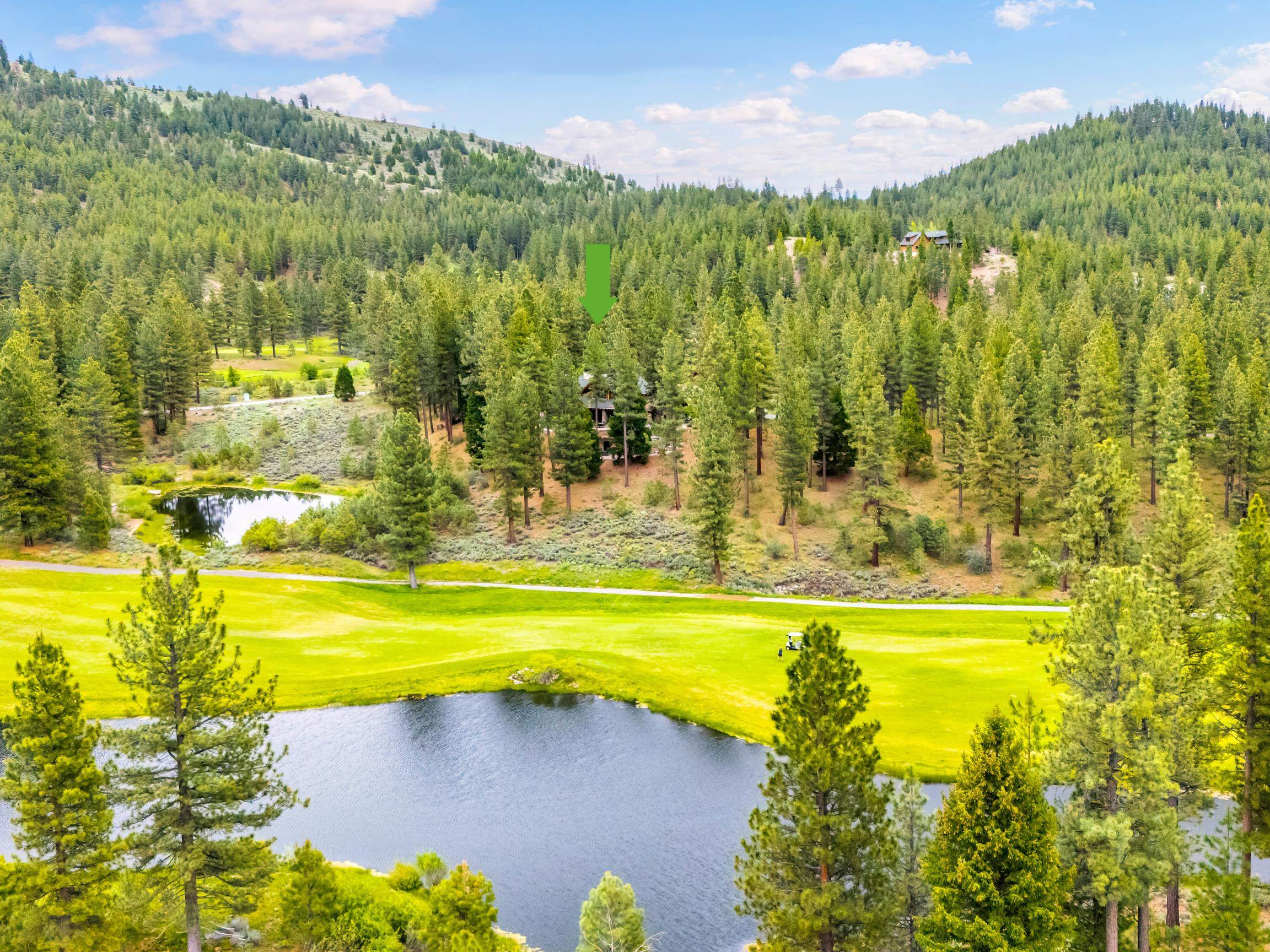 263 Fox Sparrow, Portola, CA, 96122-7301