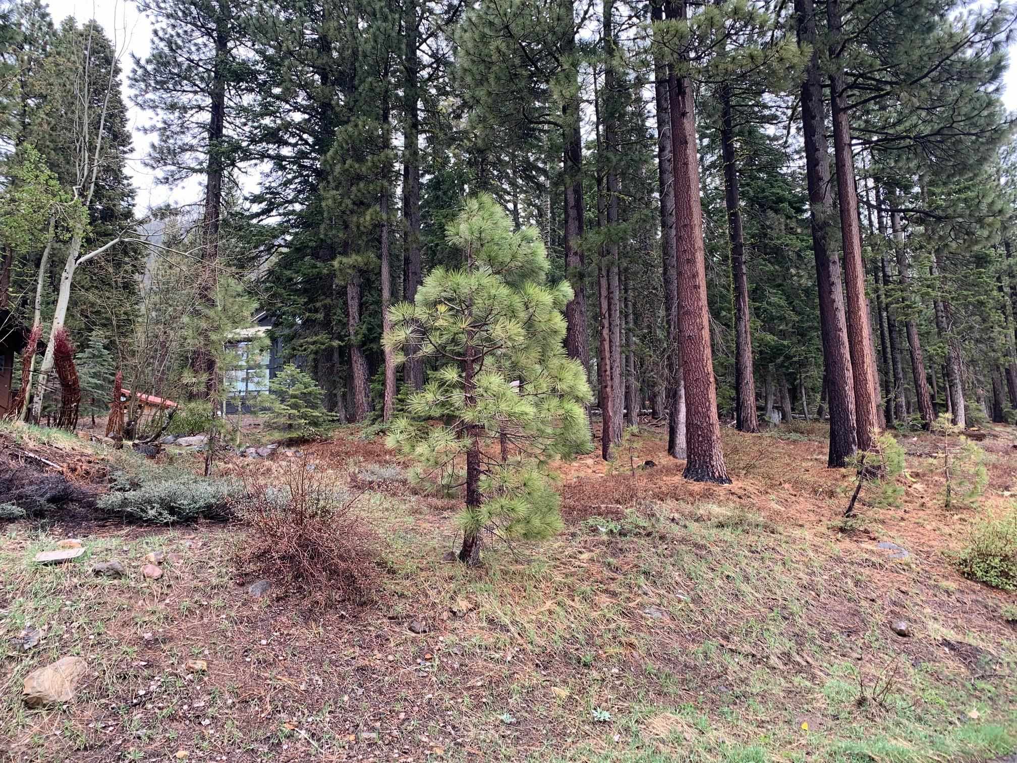 4038 Courchevel Road, Tahoe City, CA, 96145