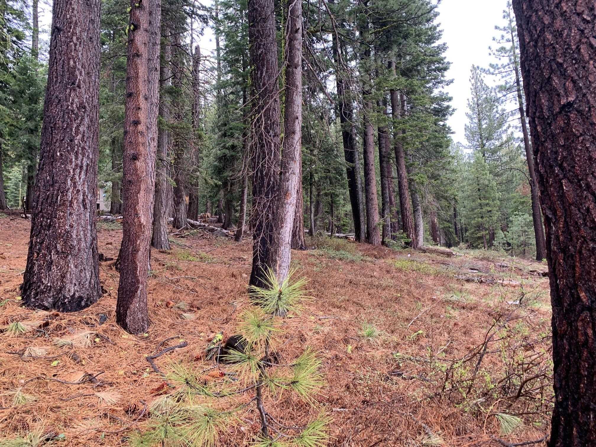 4038 Courchevel Road, Tahoe City, CA, 96145