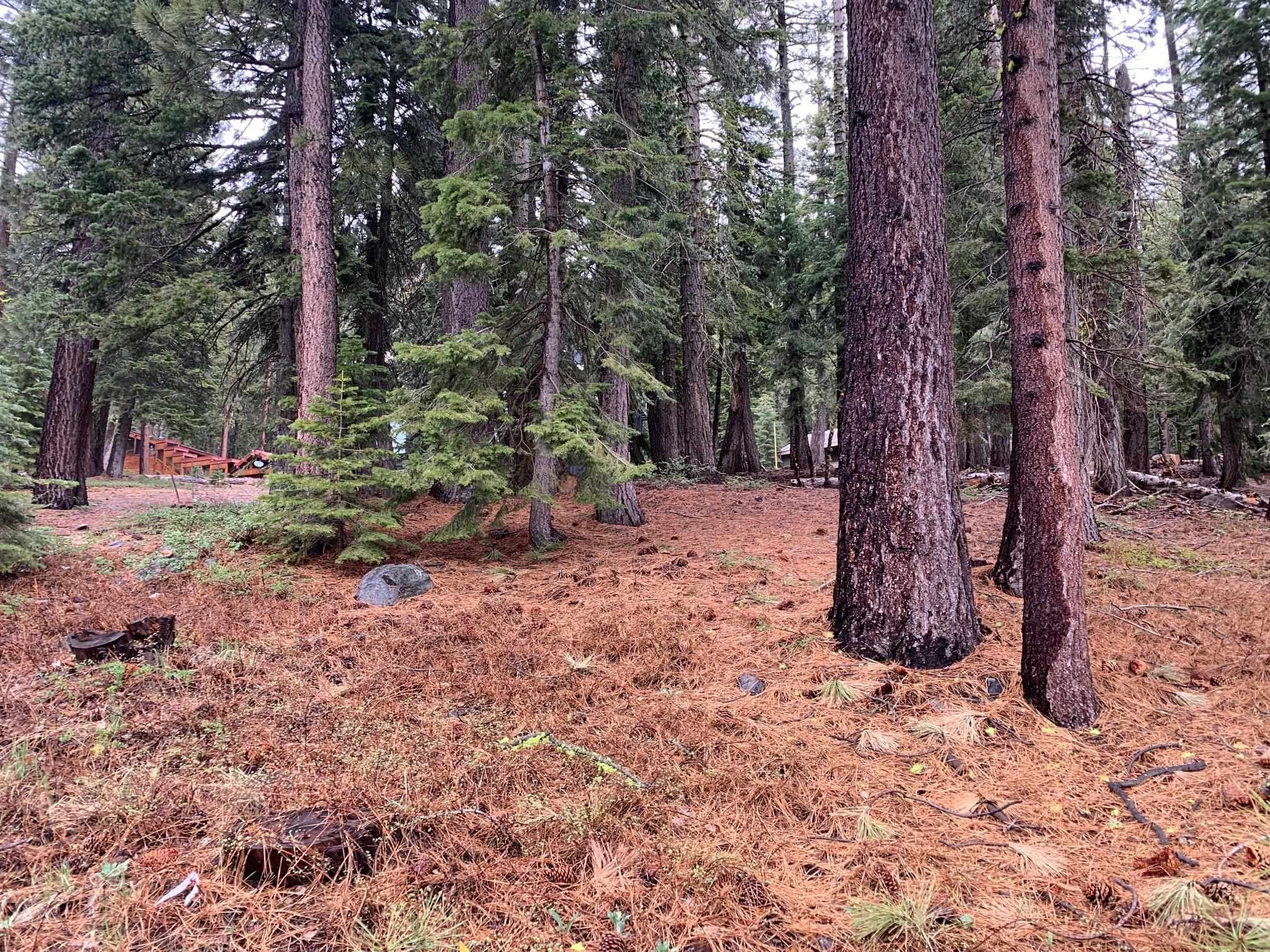 4038 Courchevel Road, Tahoe City, CA, 96145