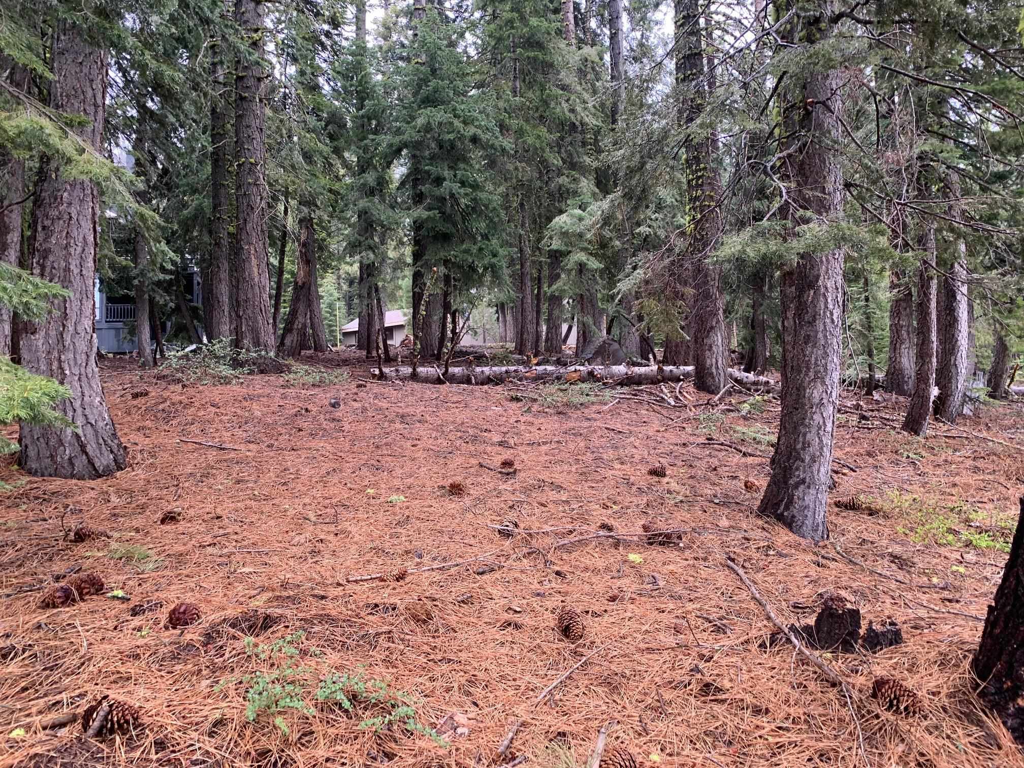 4038 Courchevel Road, Tahoe City, CA, 96145