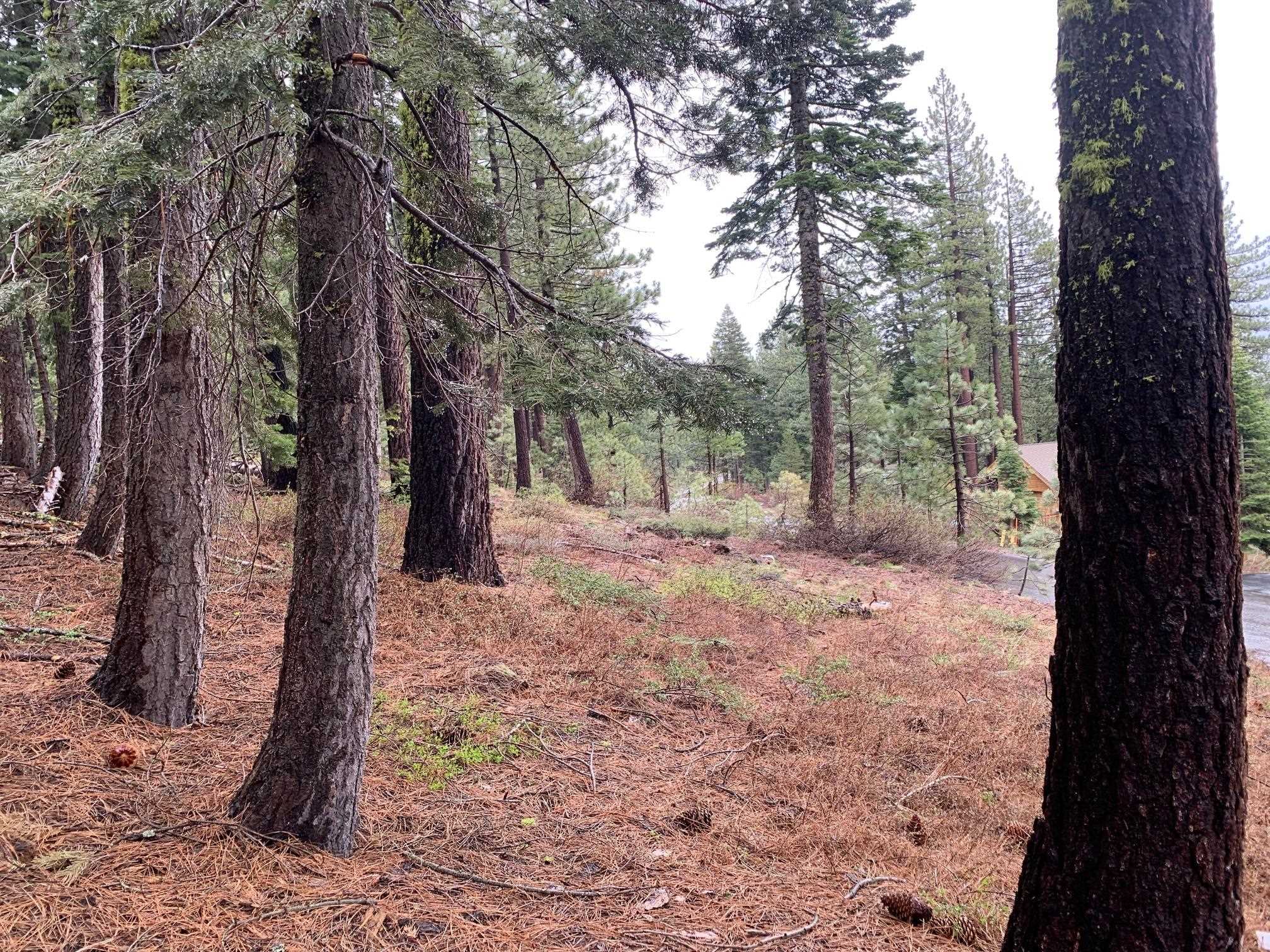 4038 Courchevel Road, Tahoe City, CA, 96145