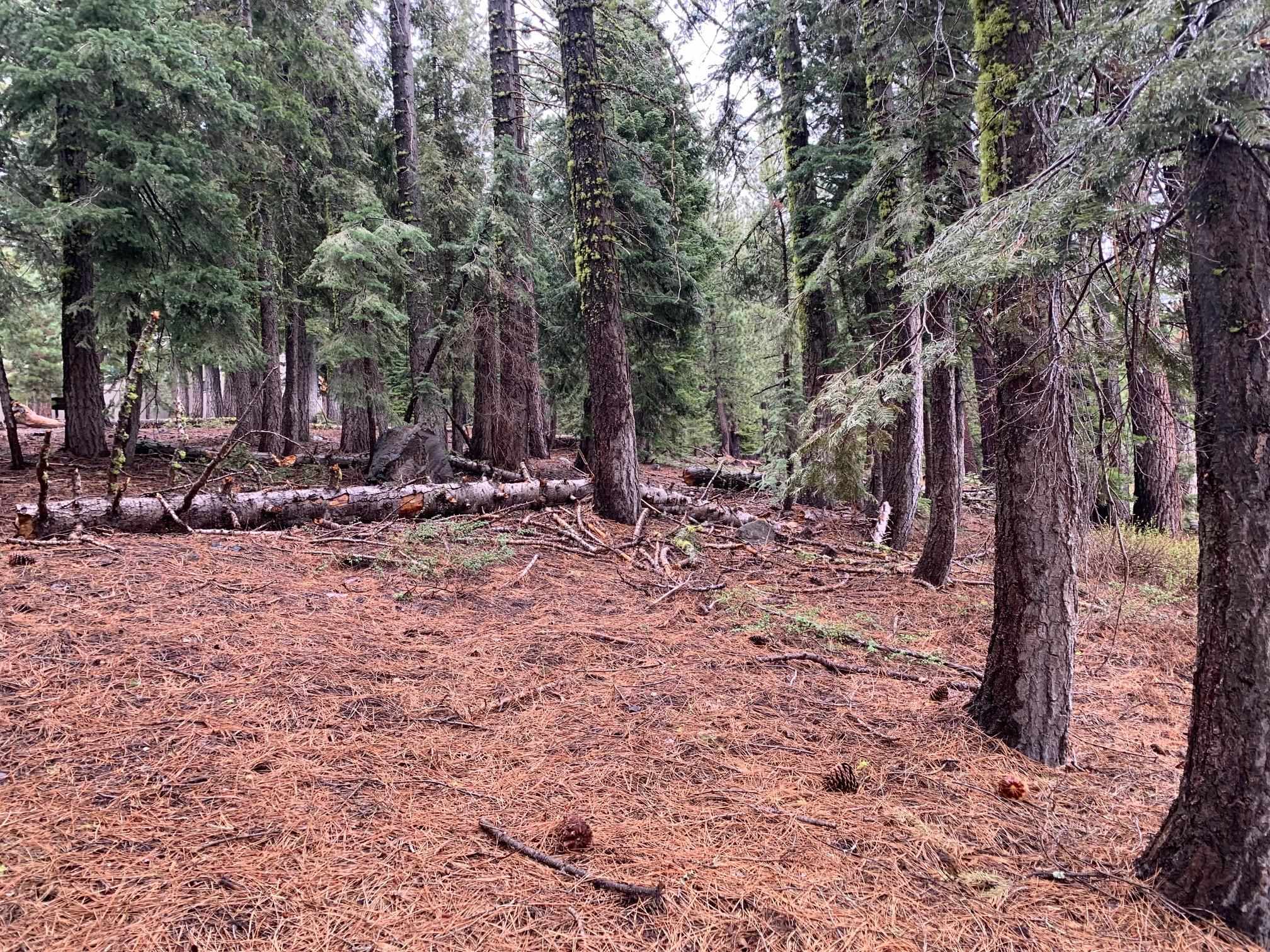 4038 Courchevel Road, Tahoe City, CA, 96145