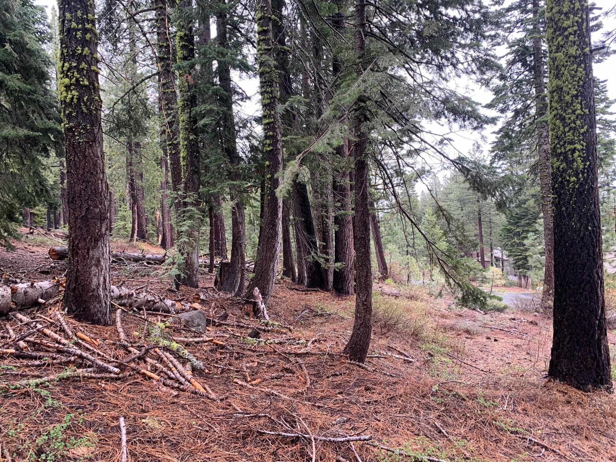 4038 Courchevel Road, Tahoe City, CA, 96145