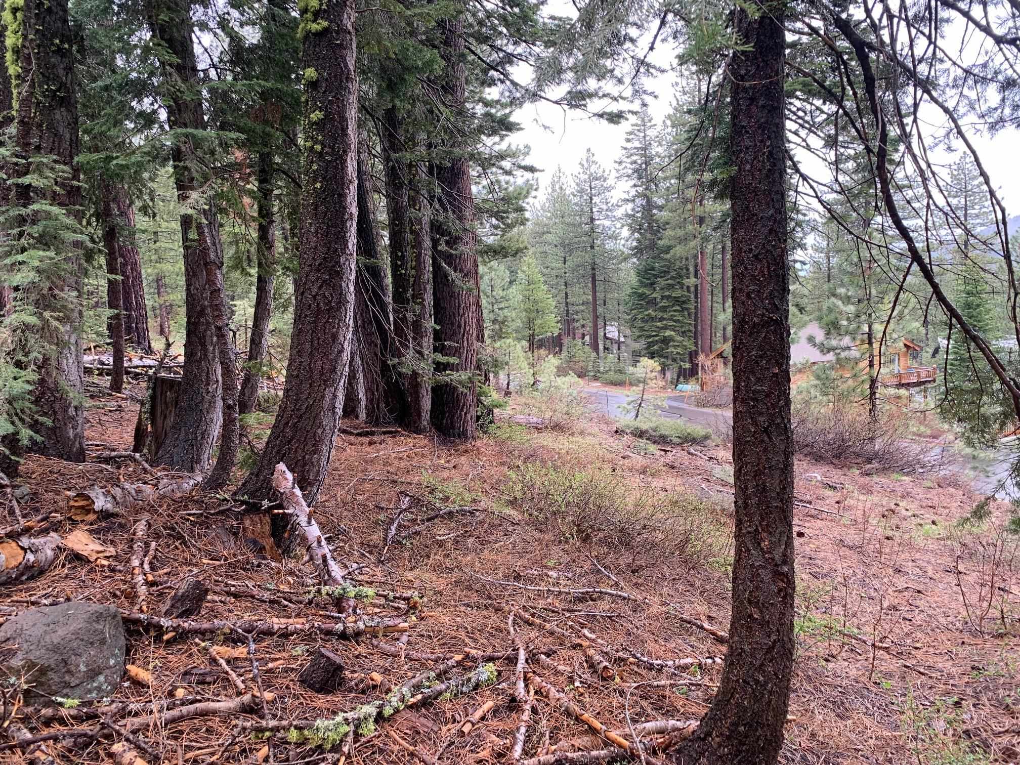 4038 Courchevel Road, Tahoe City, CA, 96145