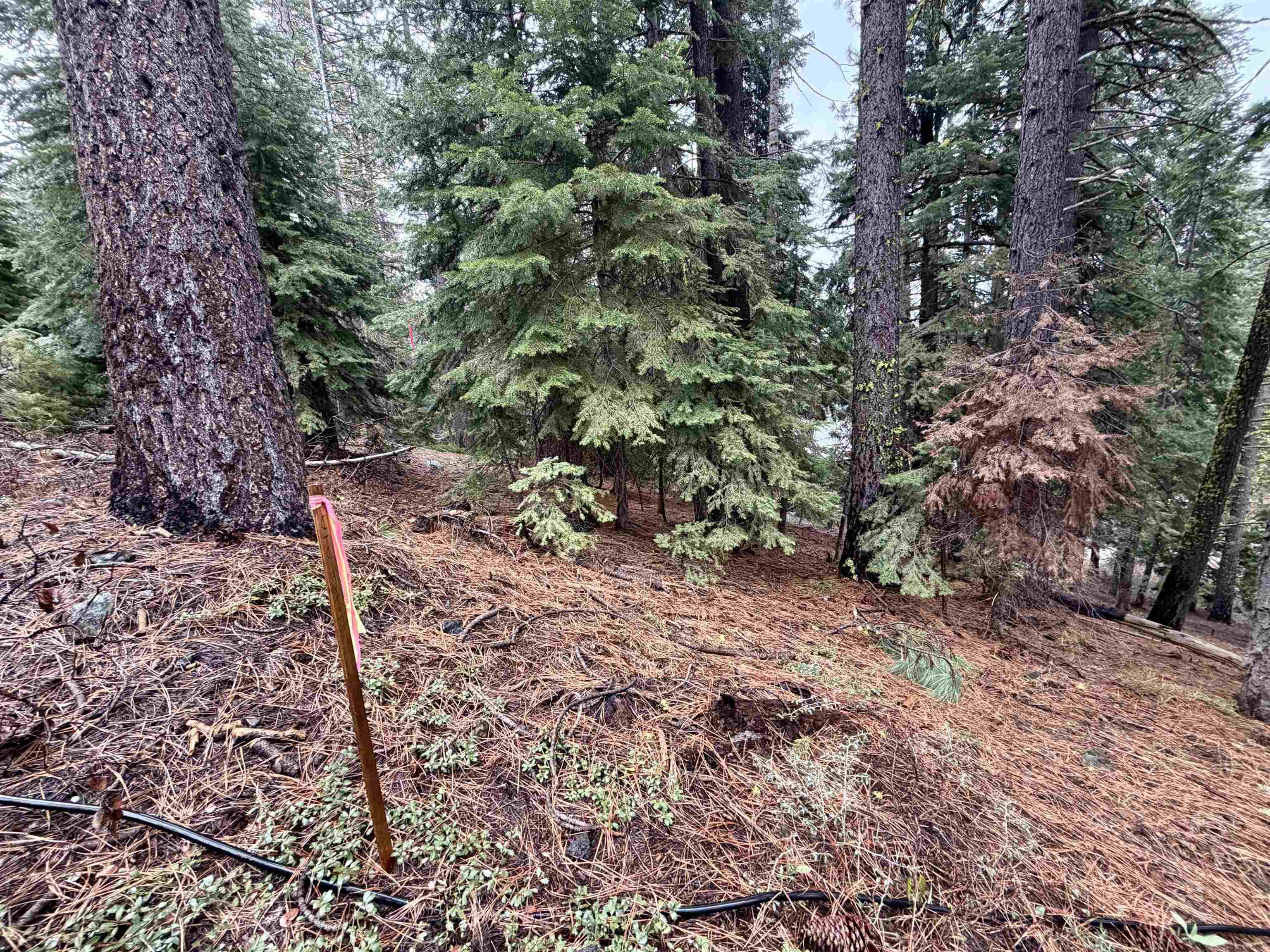 970 Ward Creek Blvd, Tahoe City, CA, 96145-0000