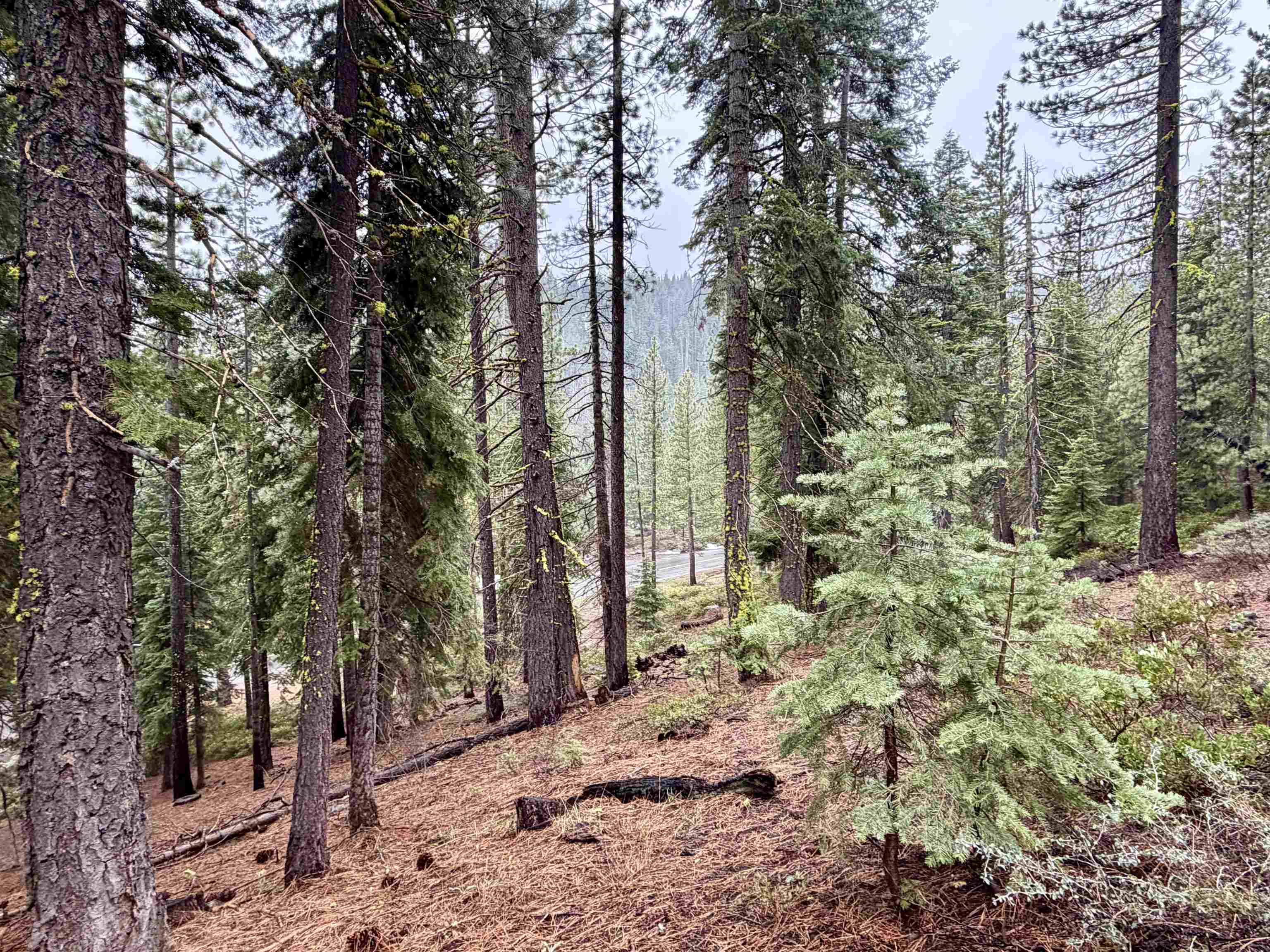 970 Ward Creek Blvd, Tahoe City, CA, 96145-0000