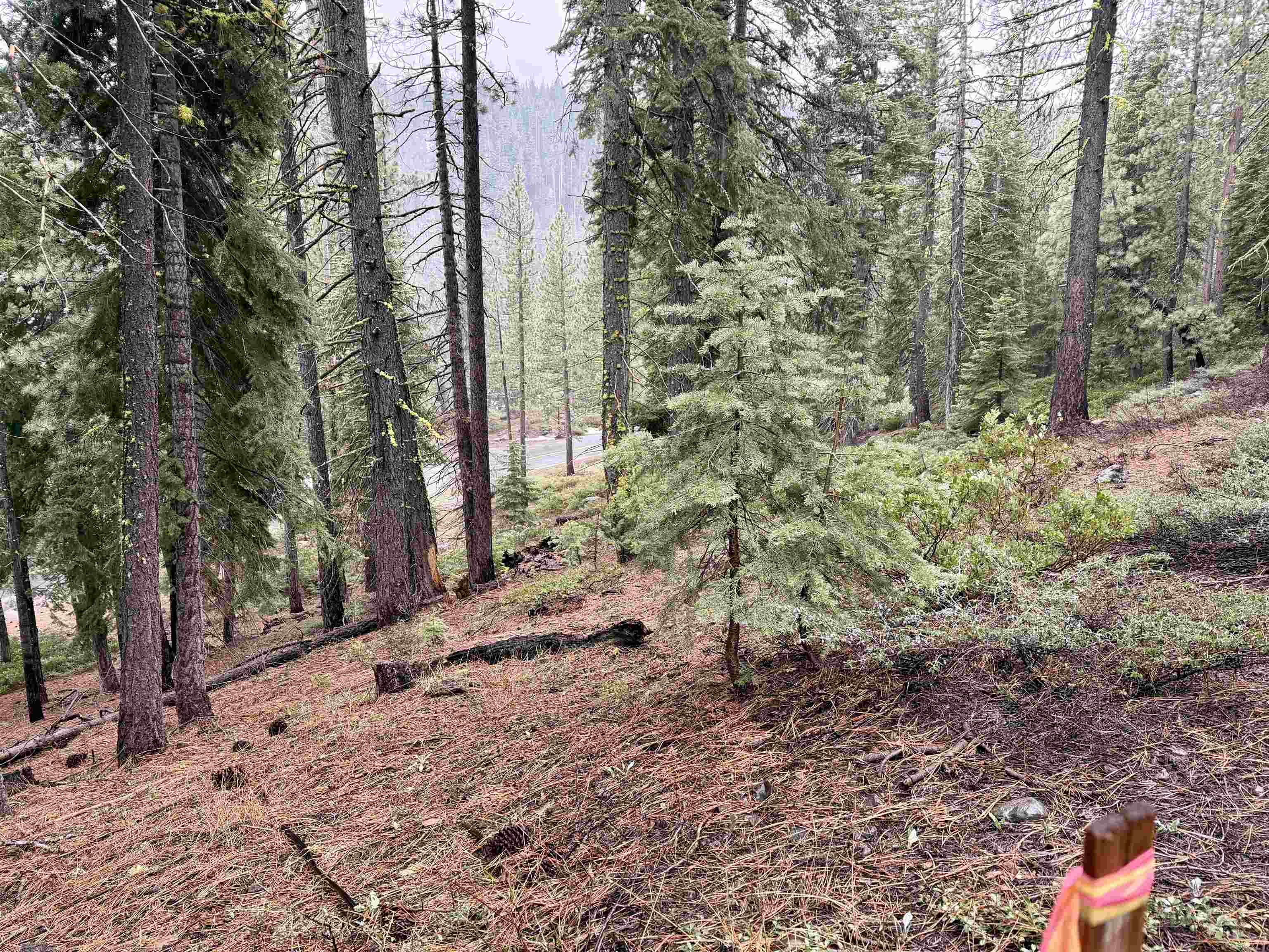 970 Ward Creek Blvd, Tahoe City, CA, 96145-0000