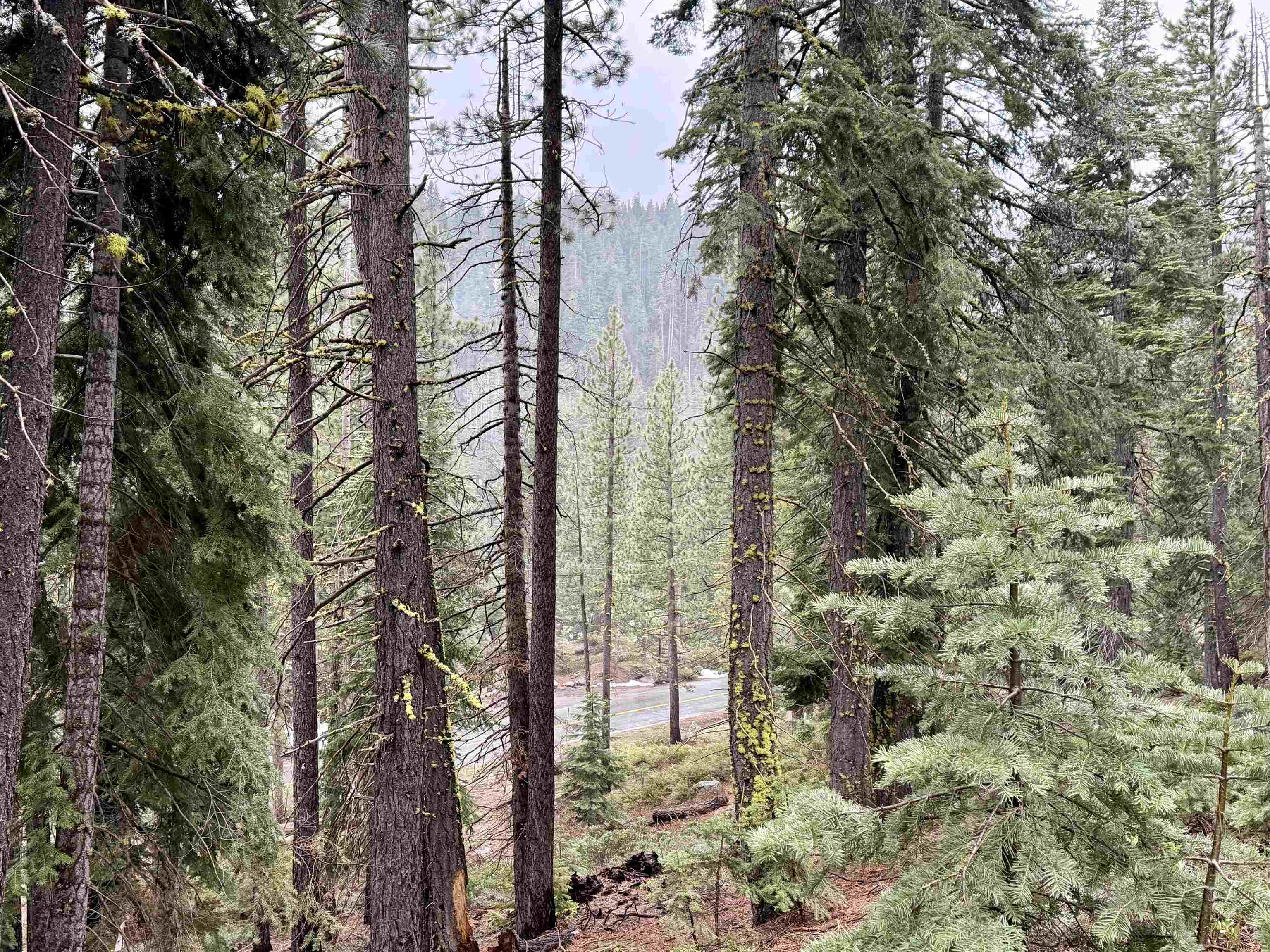 970 Ward Creek Blvd, Tahoe City, CA, 96145-0000