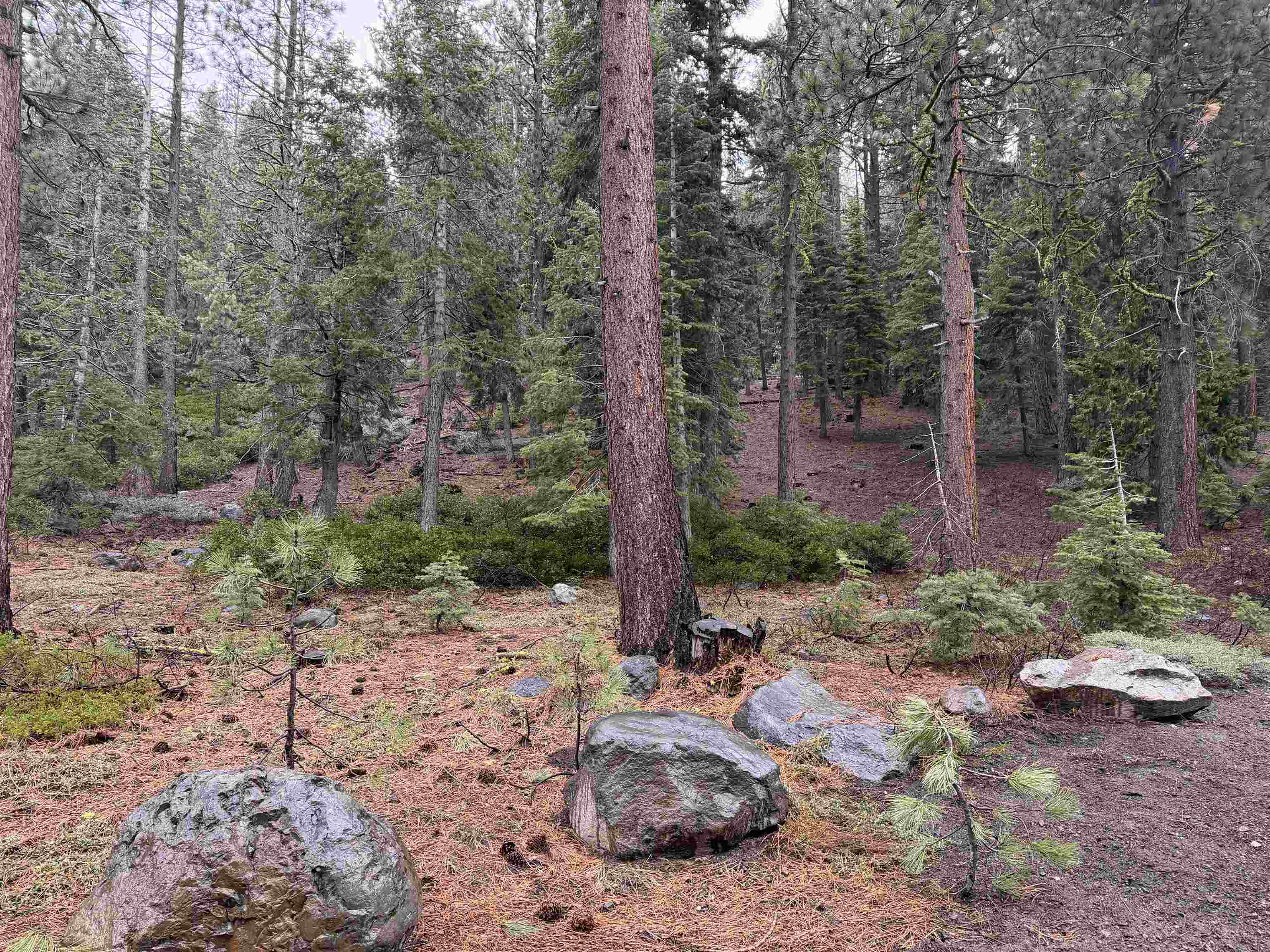 970 Ward Creek Blvd, Tahoe City, CA, 96145-0000