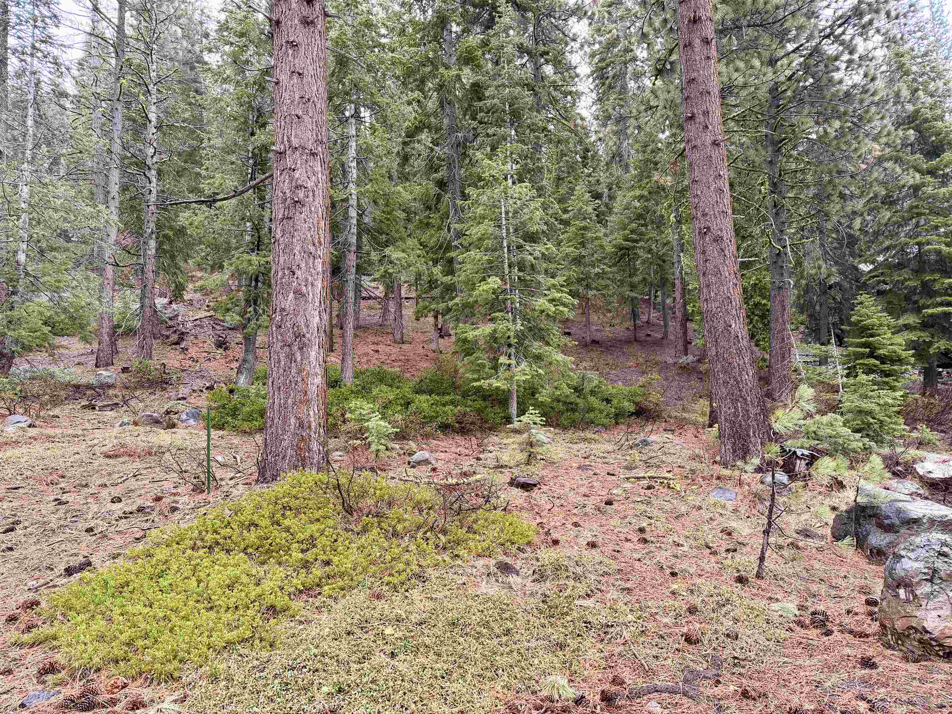 970 Ward Creek Blvd, Tahoe City, CA, 96145-0000